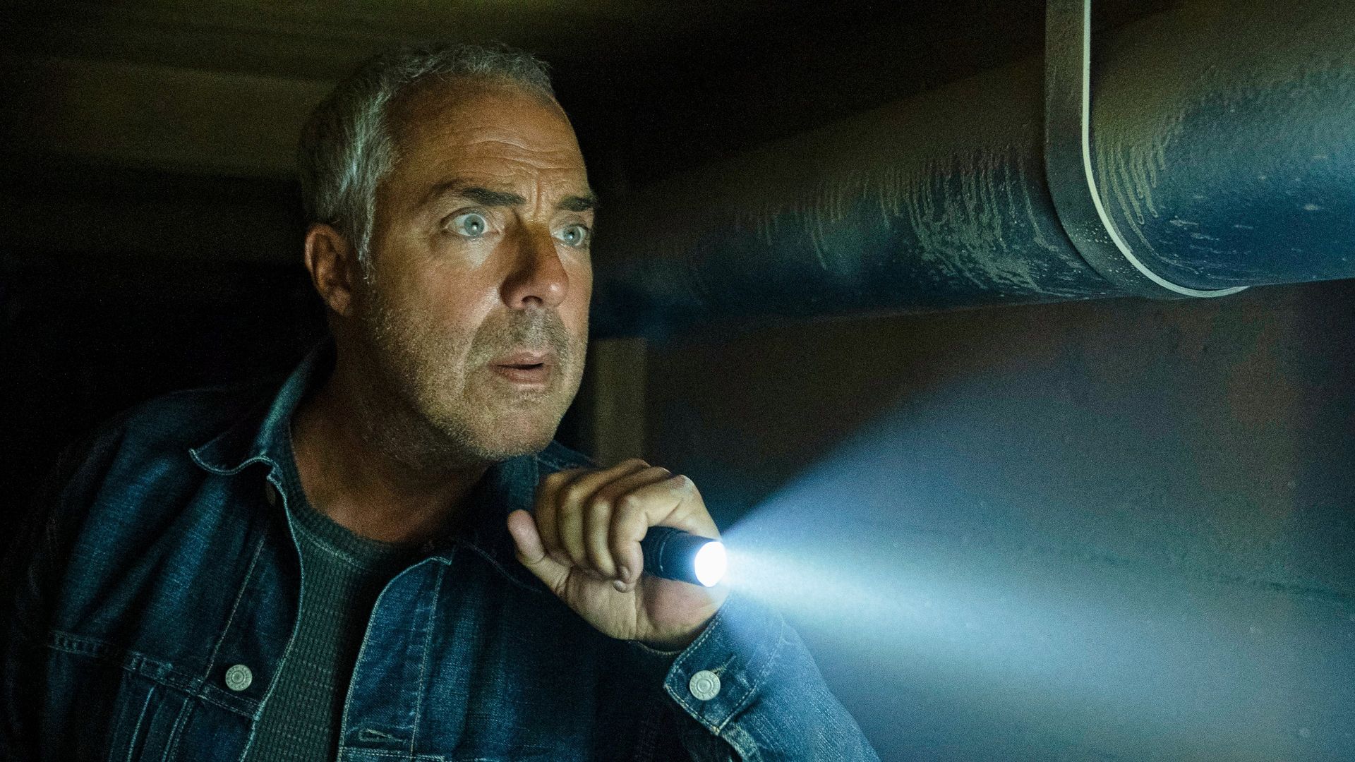 Bosch: Legacy background