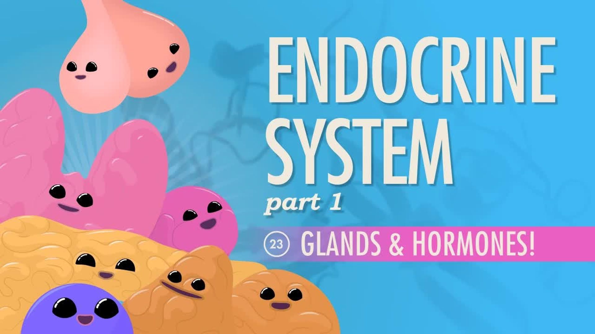 Crash Course: Anatomy & Physiology background