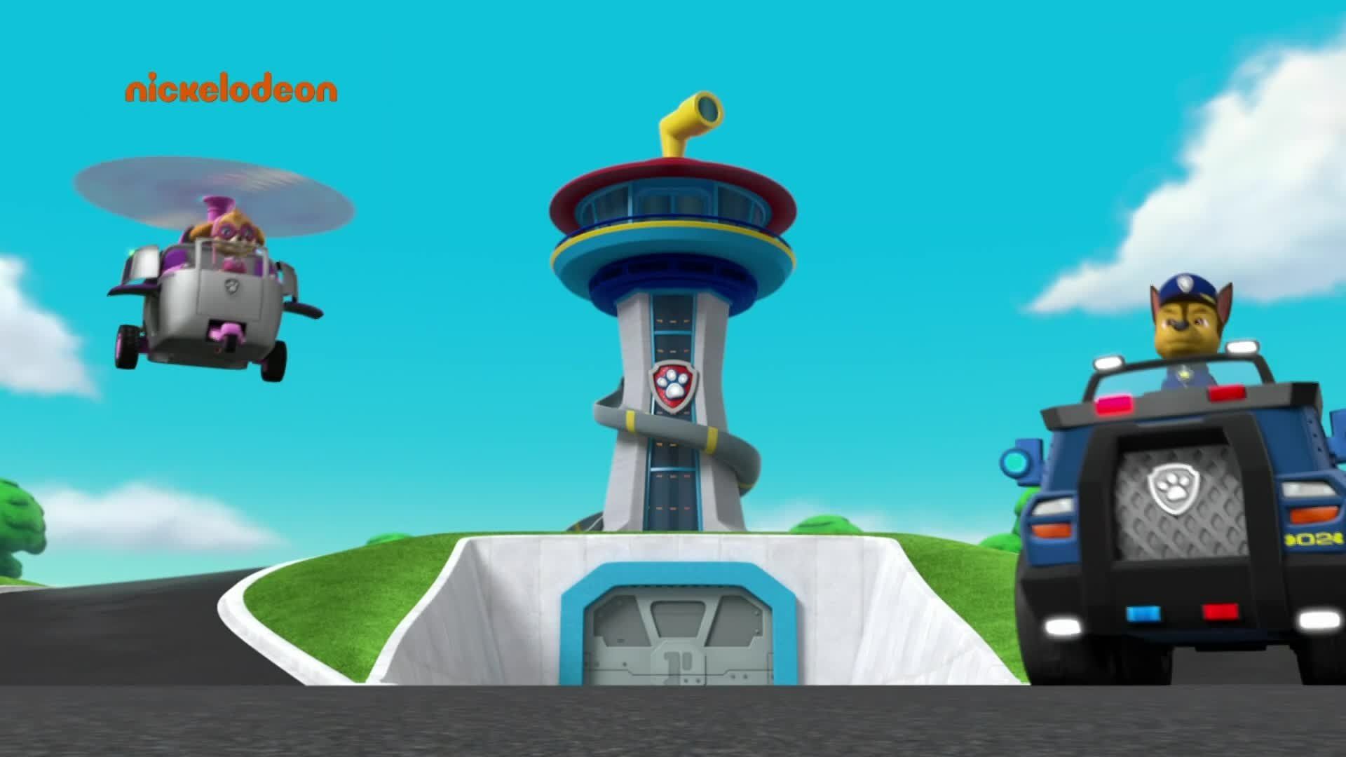 PAW Patrol background