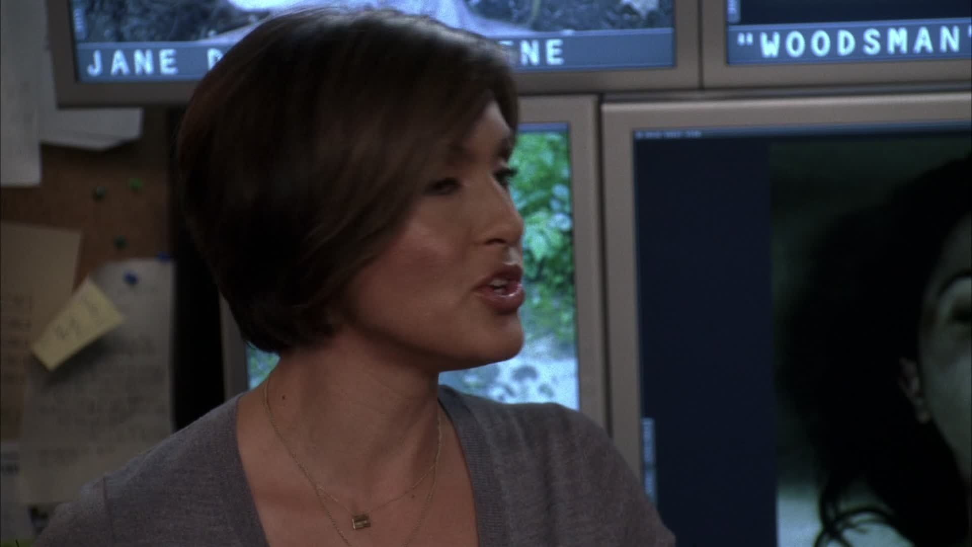 Law & Order: Special Victims Unit background