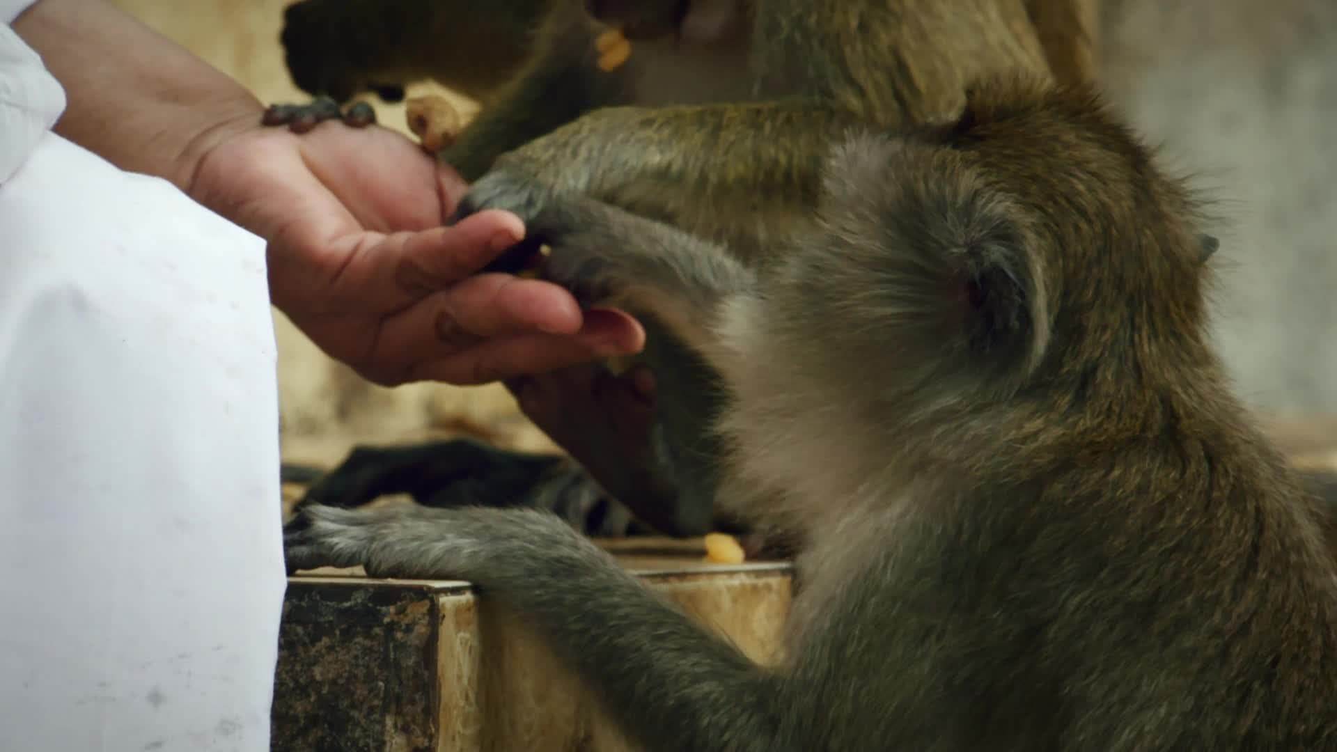 Thailand: Earth's Tropical Paradise background