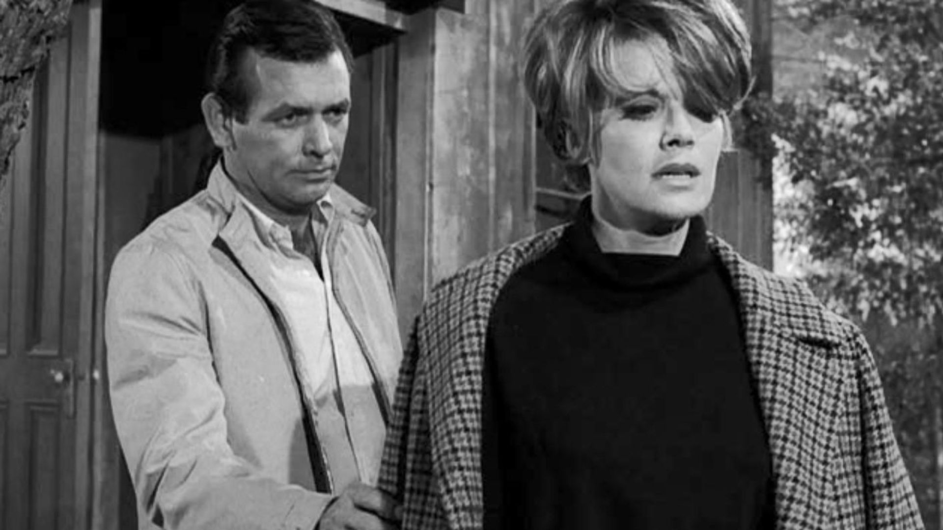 The Fugitive background