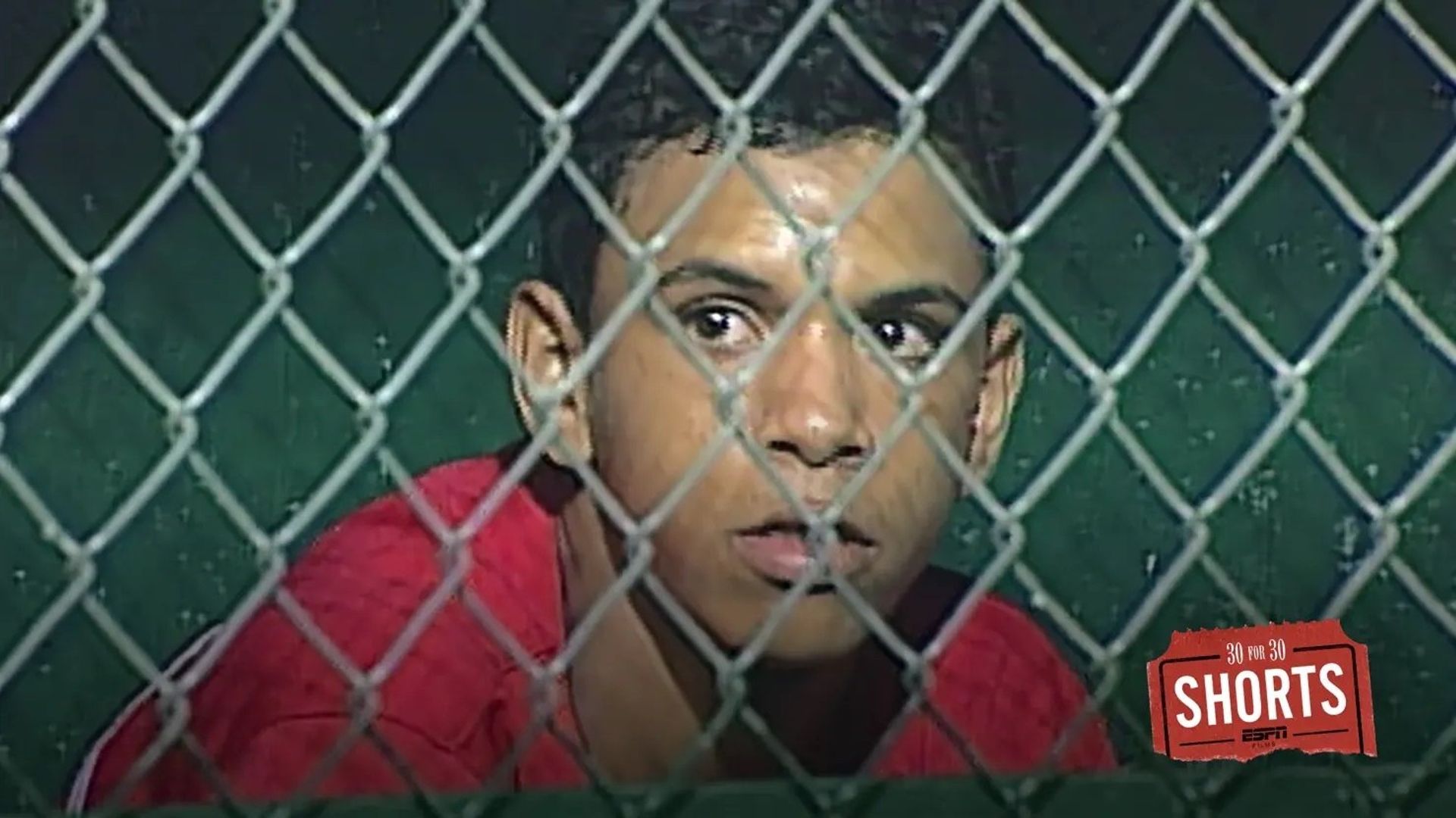 30 for 30 Shorts background