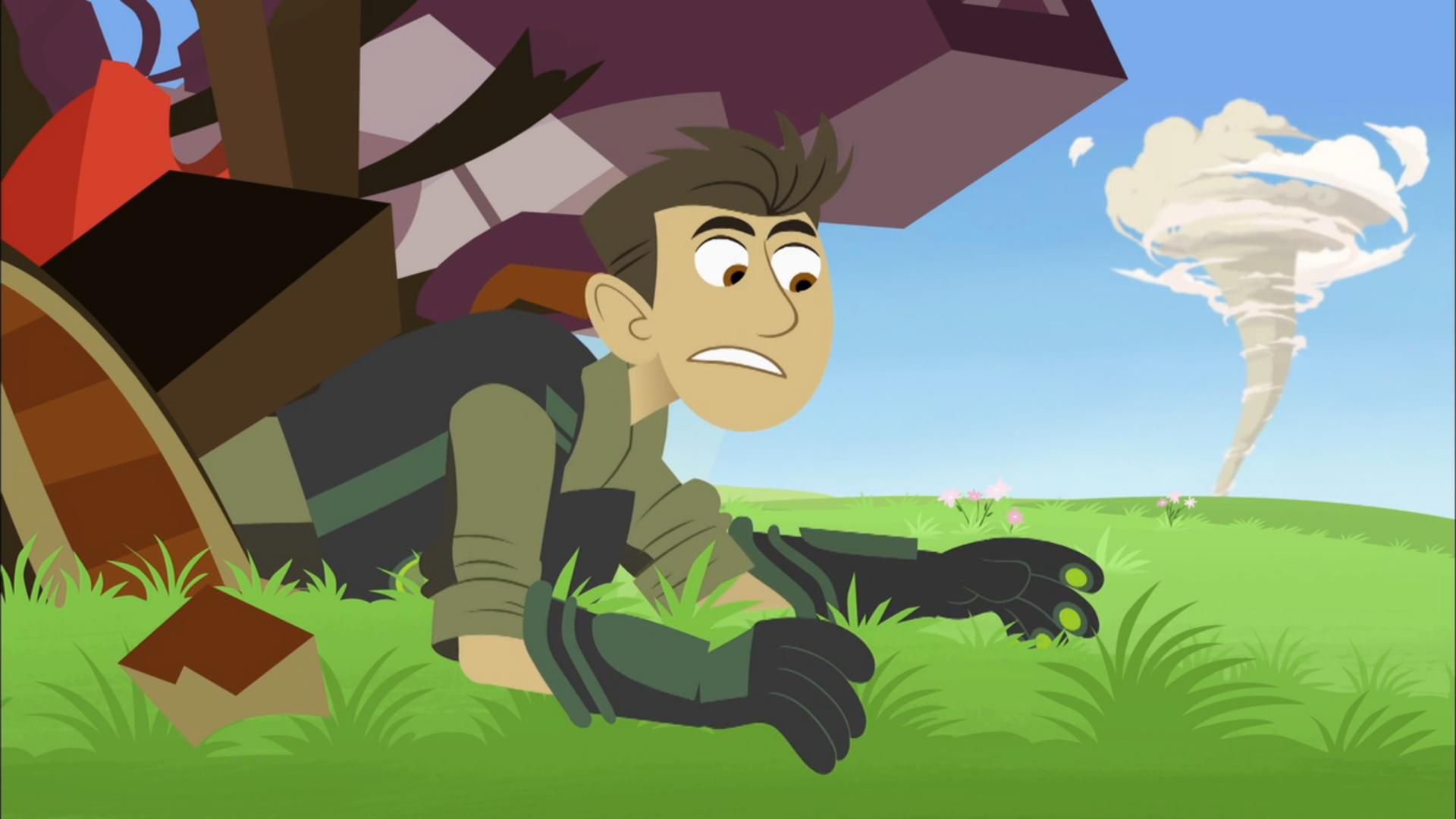 Wild Kratts background