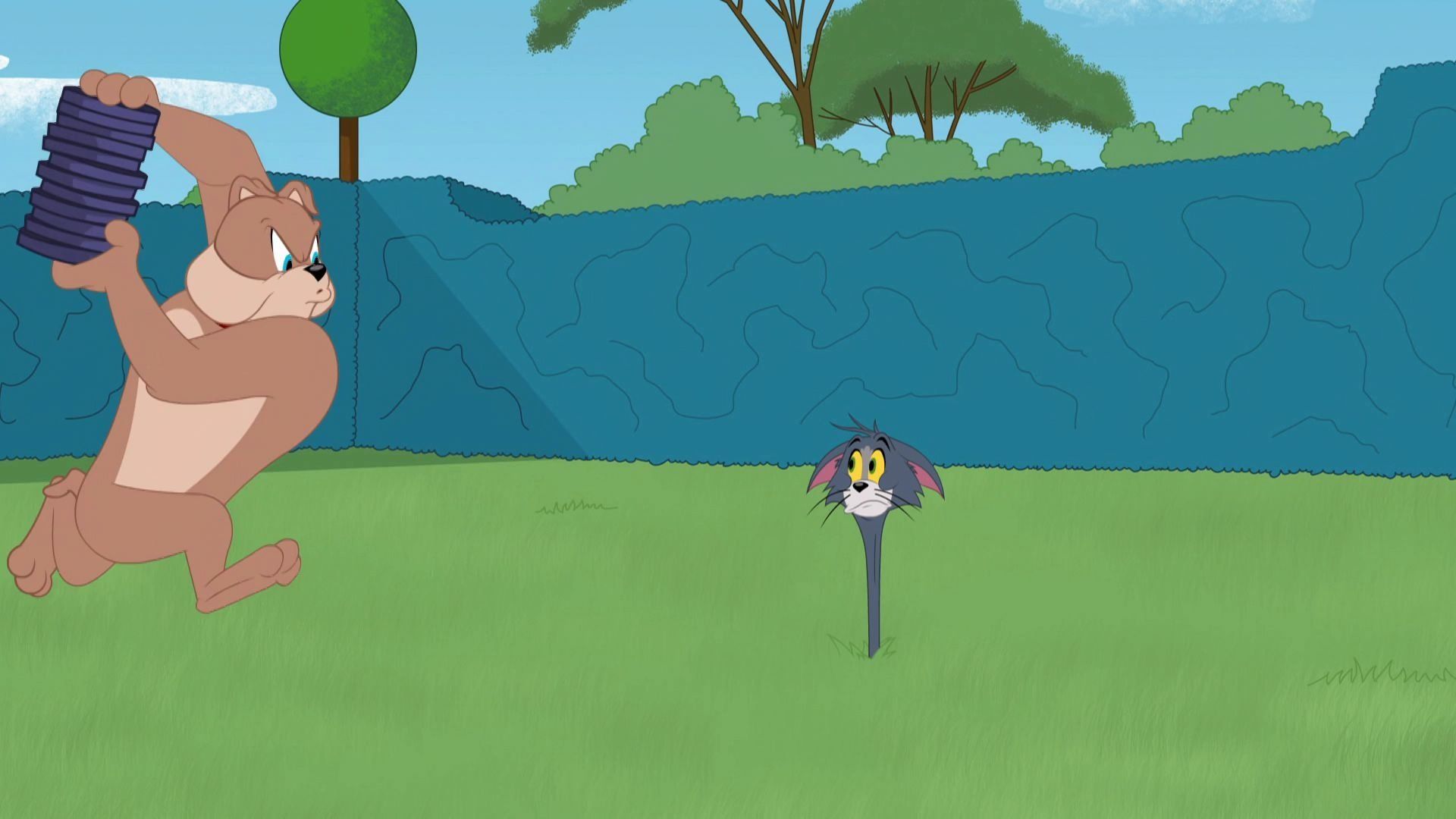 The Tom and Jerry Show background