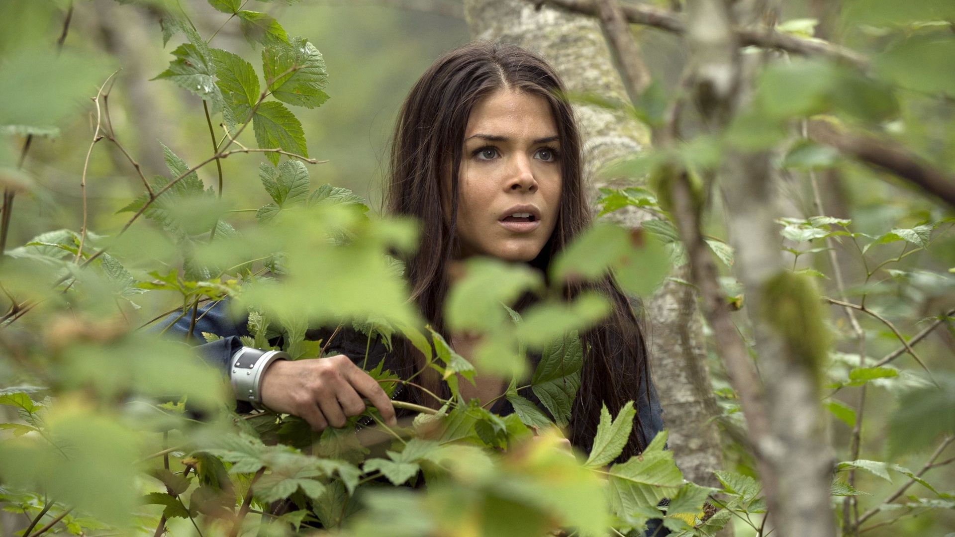 The 100 background