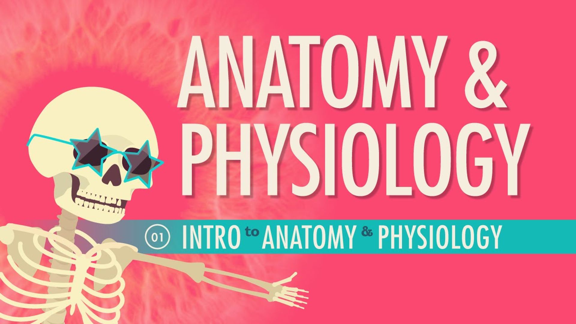 Crash Course: Anatomy & Physiology background