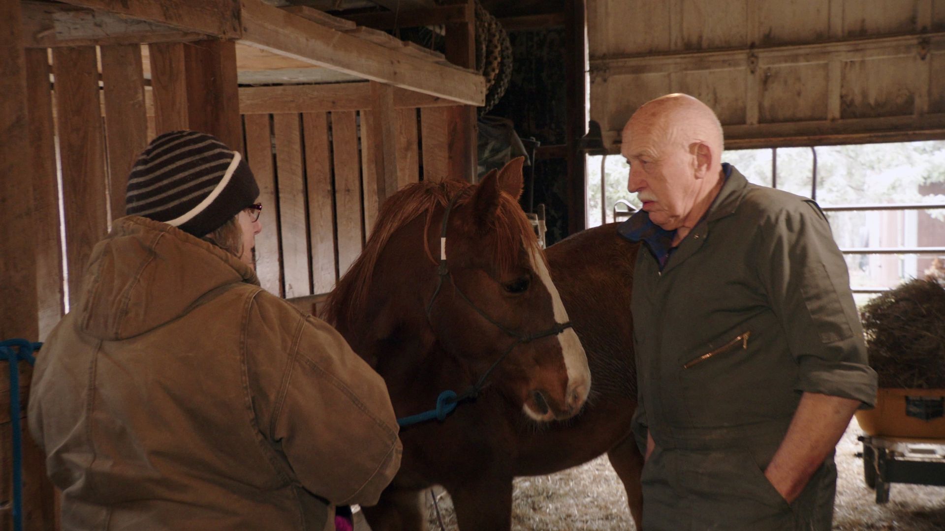 The Incredible Dr. Pol background
