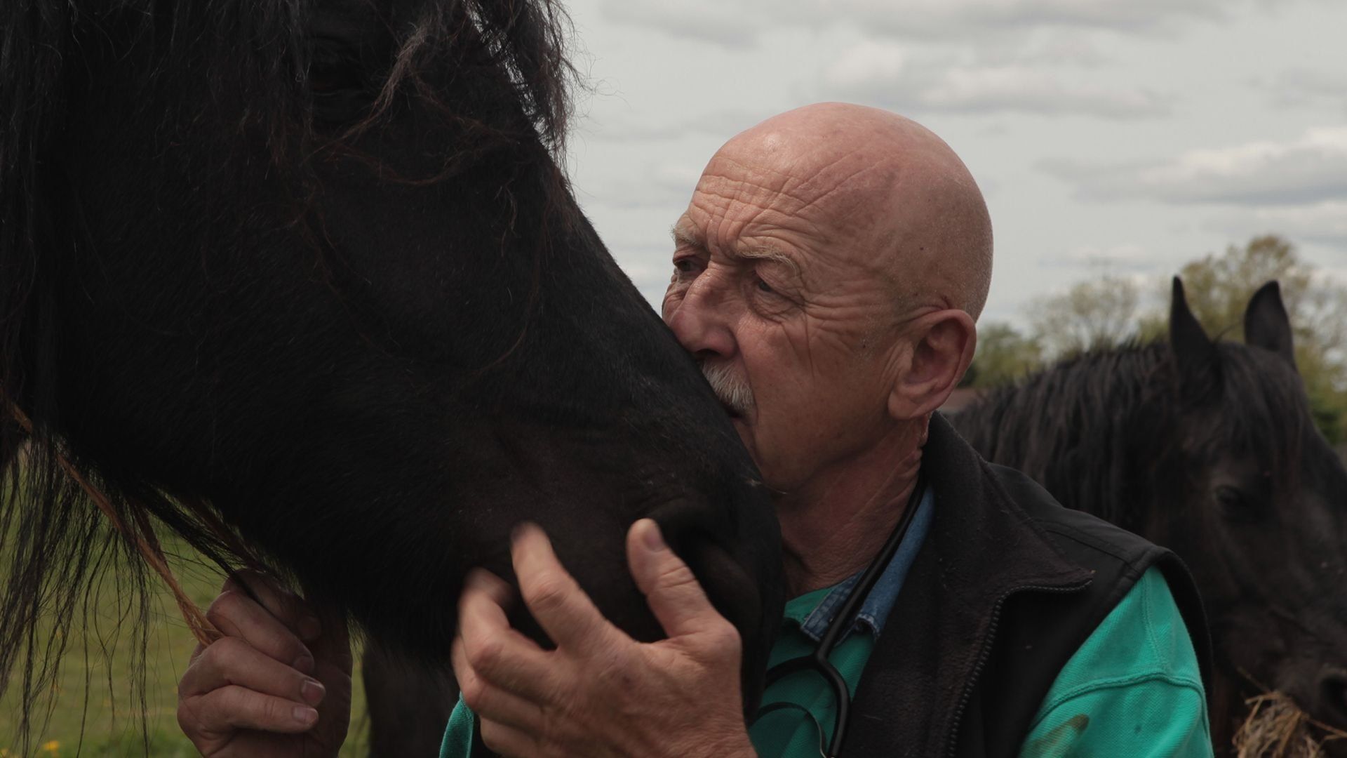 The Incredible Dr. Pol background