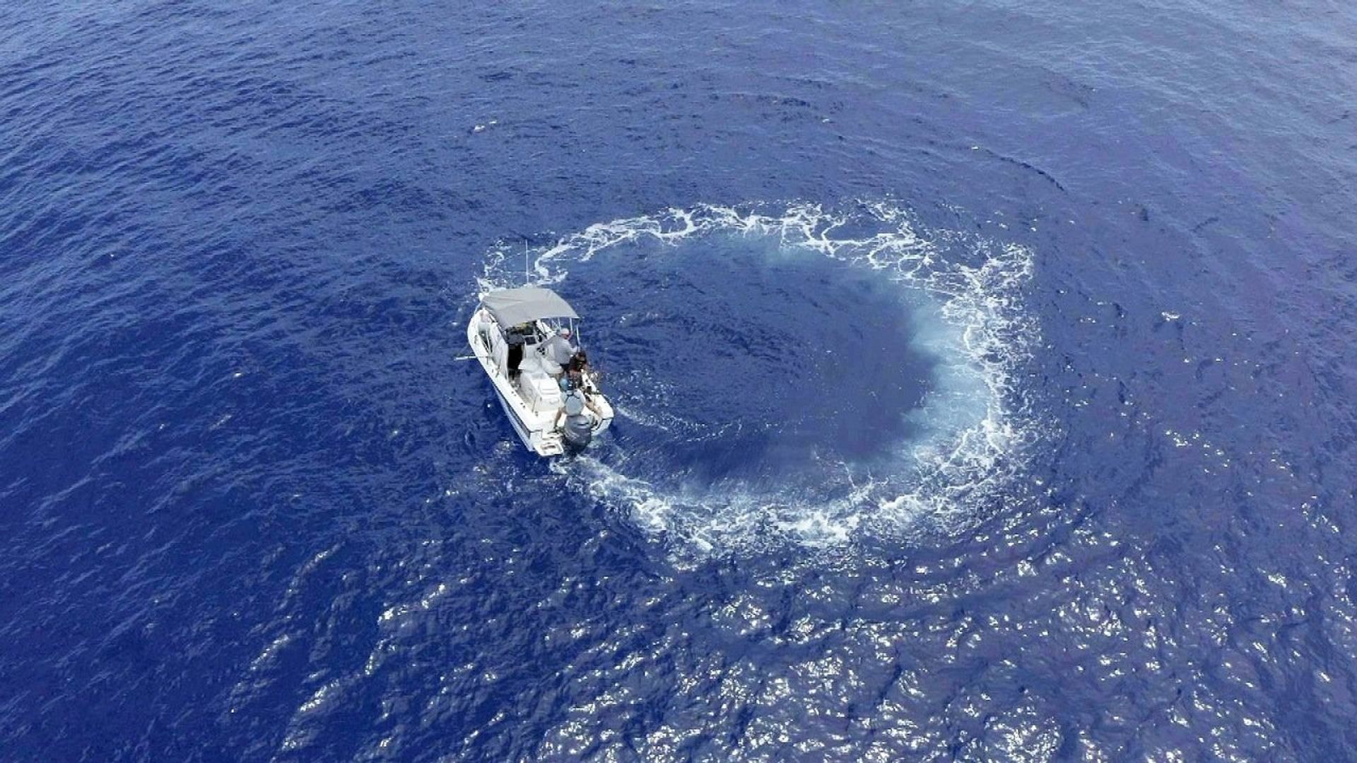 Deadliest Catch: Bloodline background