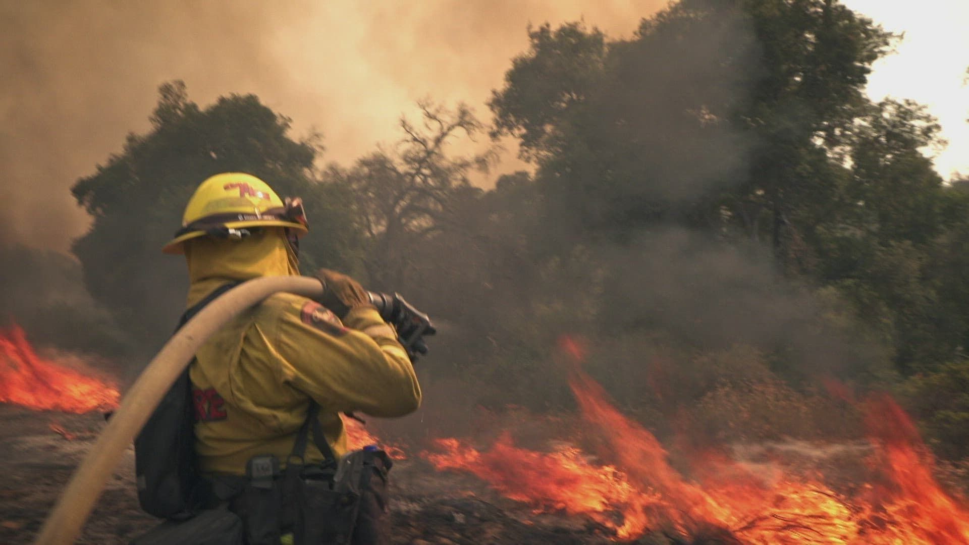 Cal Fire background