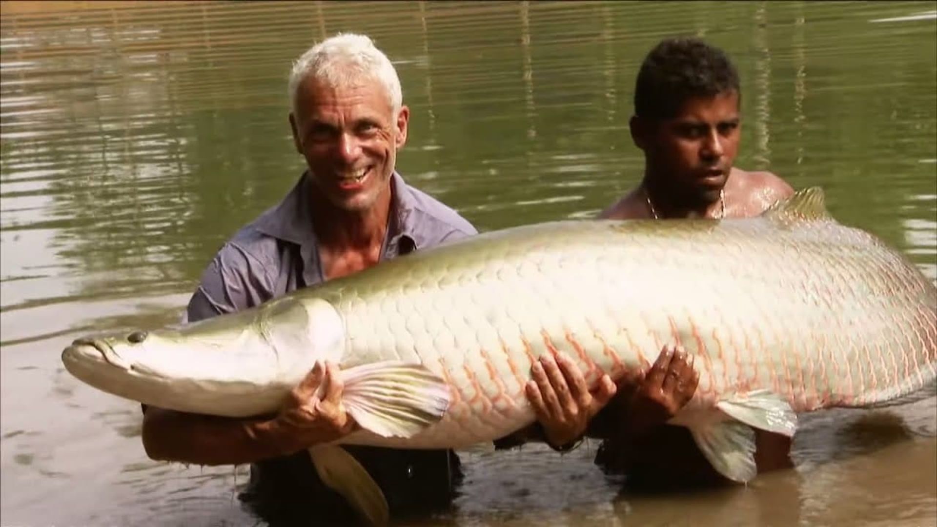 River Monsters background