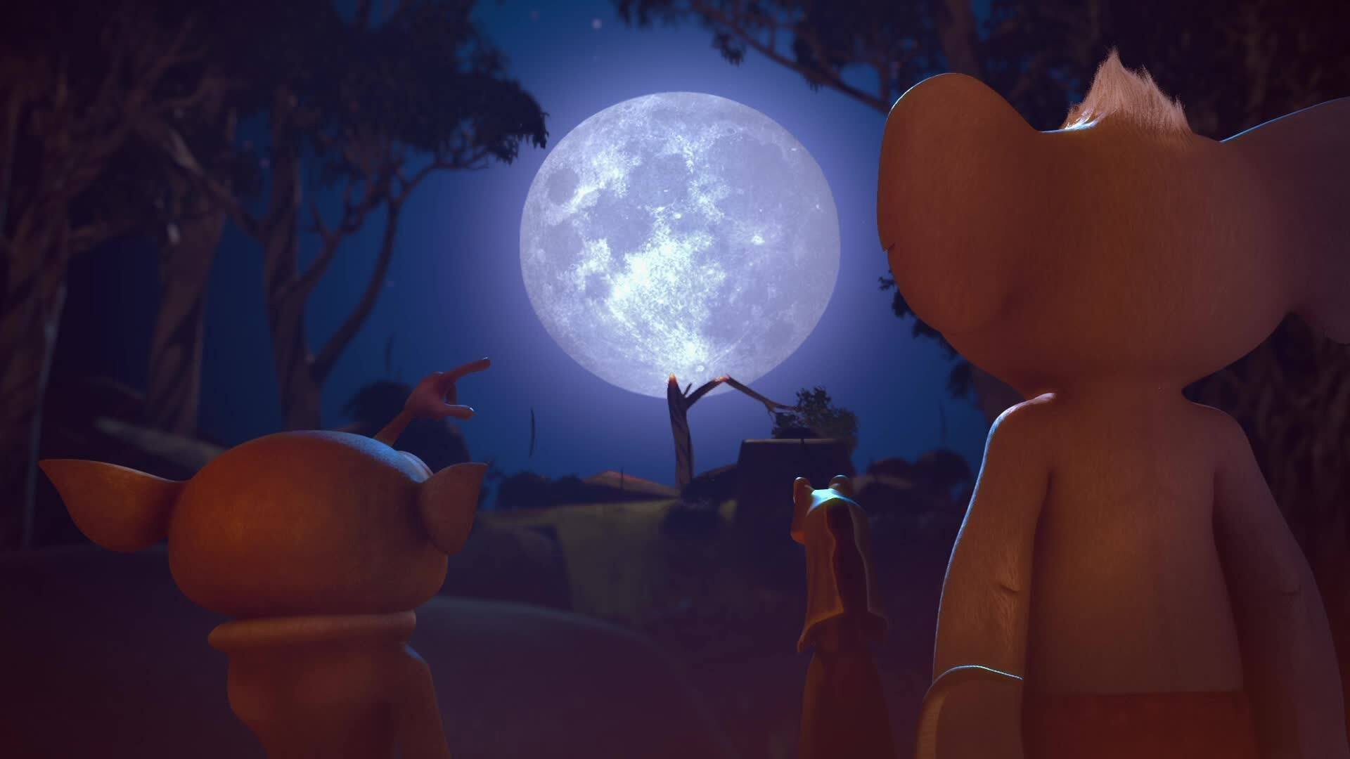 The Wild Adventures of Blinky Bill background
