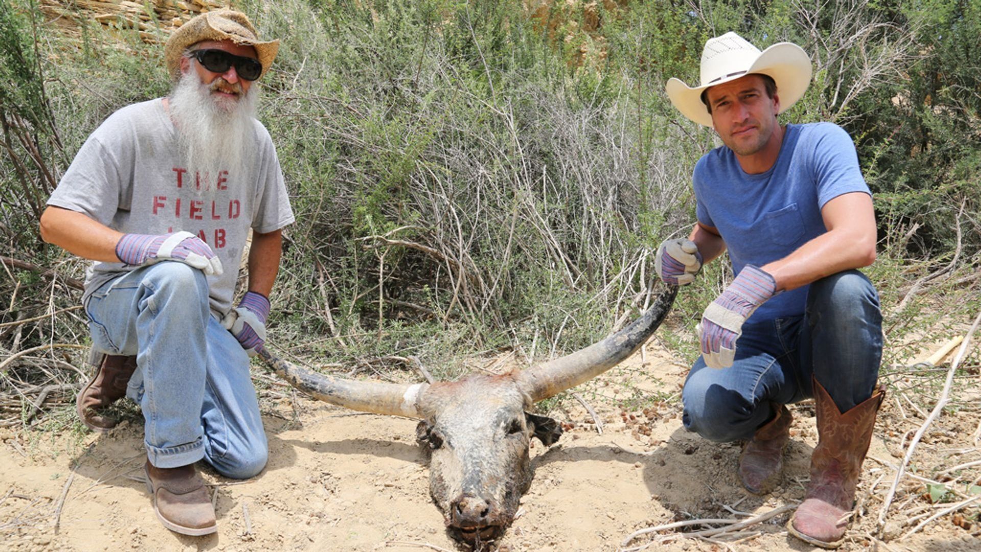 Ben Fogle: New Lives in the Wild background