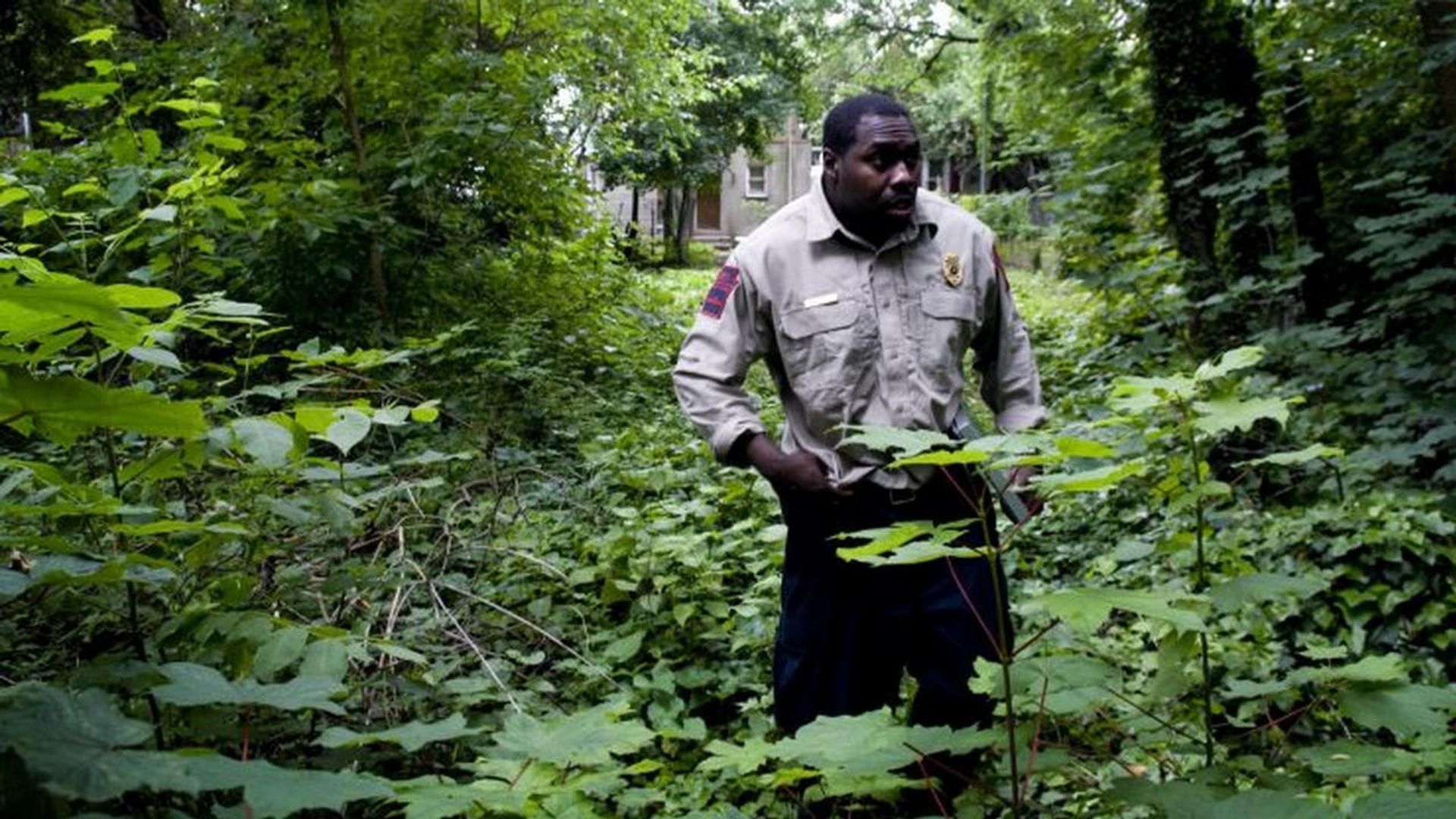 Animal Cops: Philadelphia background