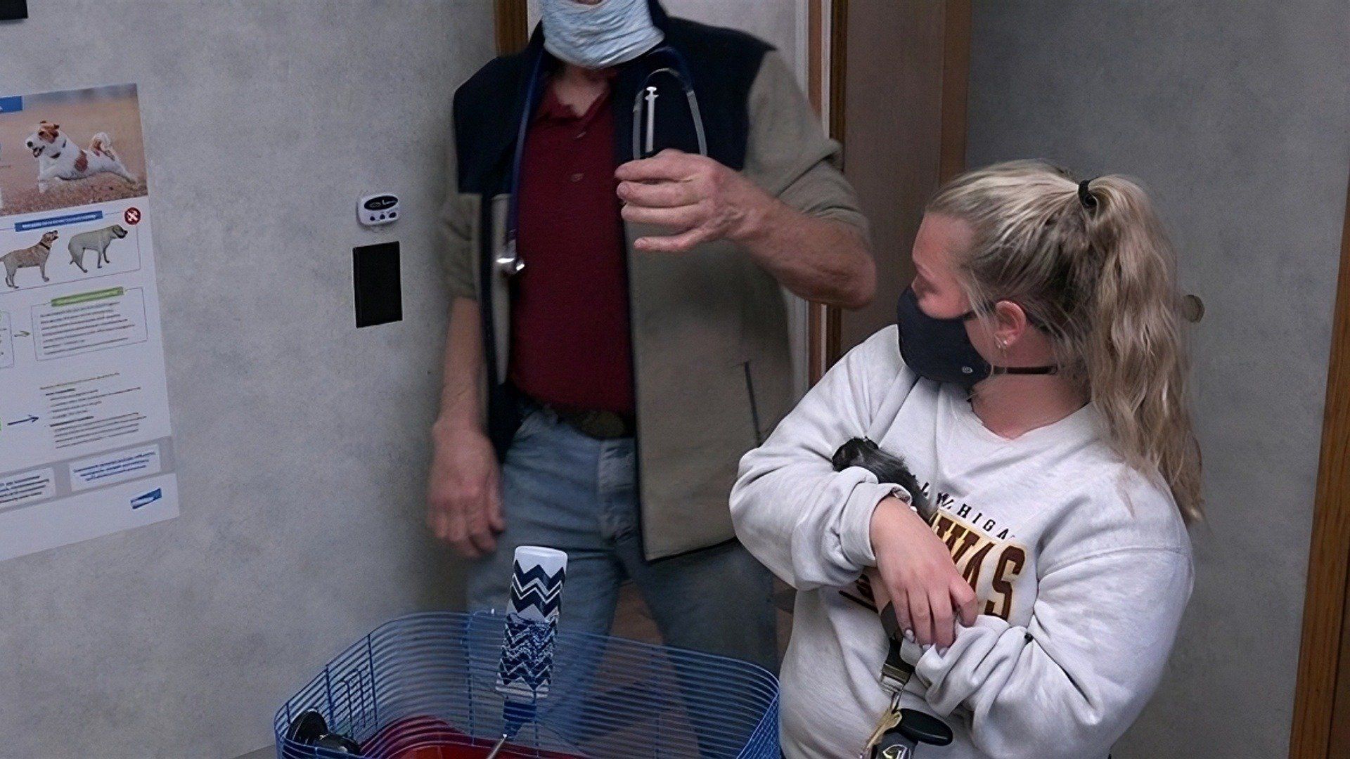 The Incredible Dr. Pol background