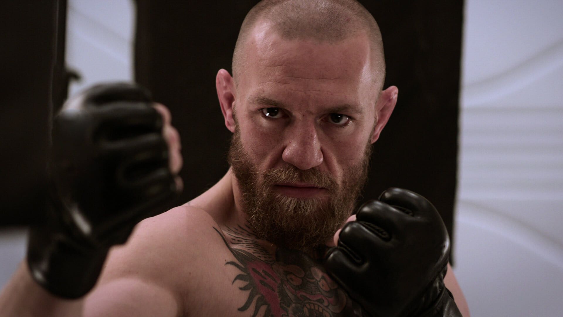 McGregor Forever background