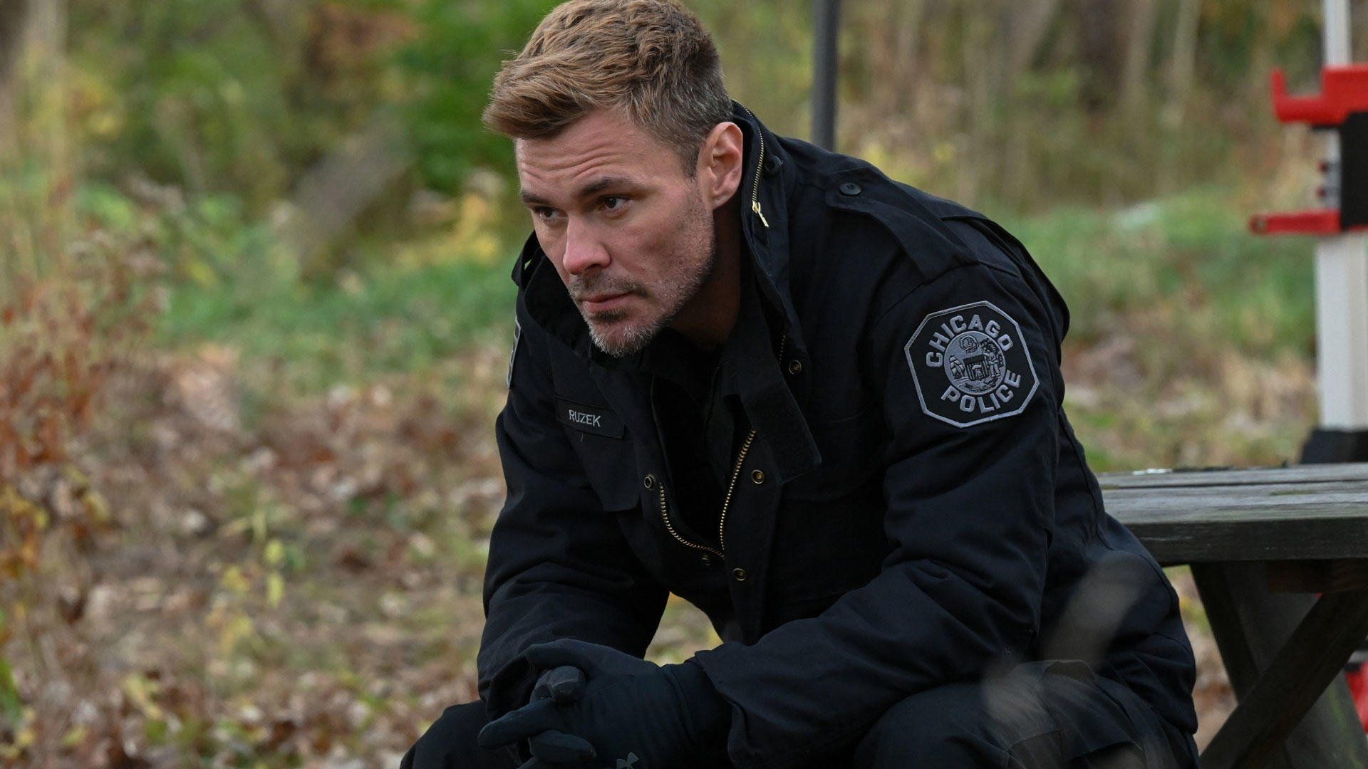 Chicago P.D. background