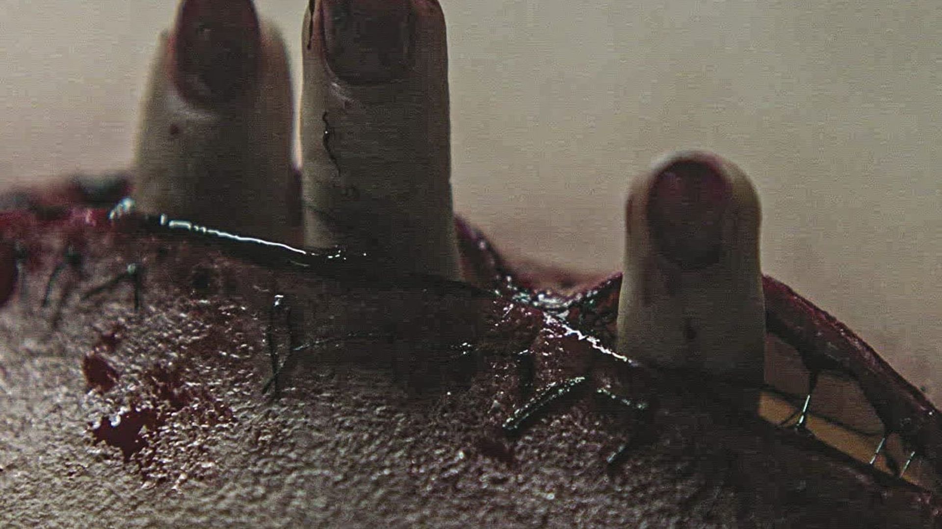 Urban Legend background