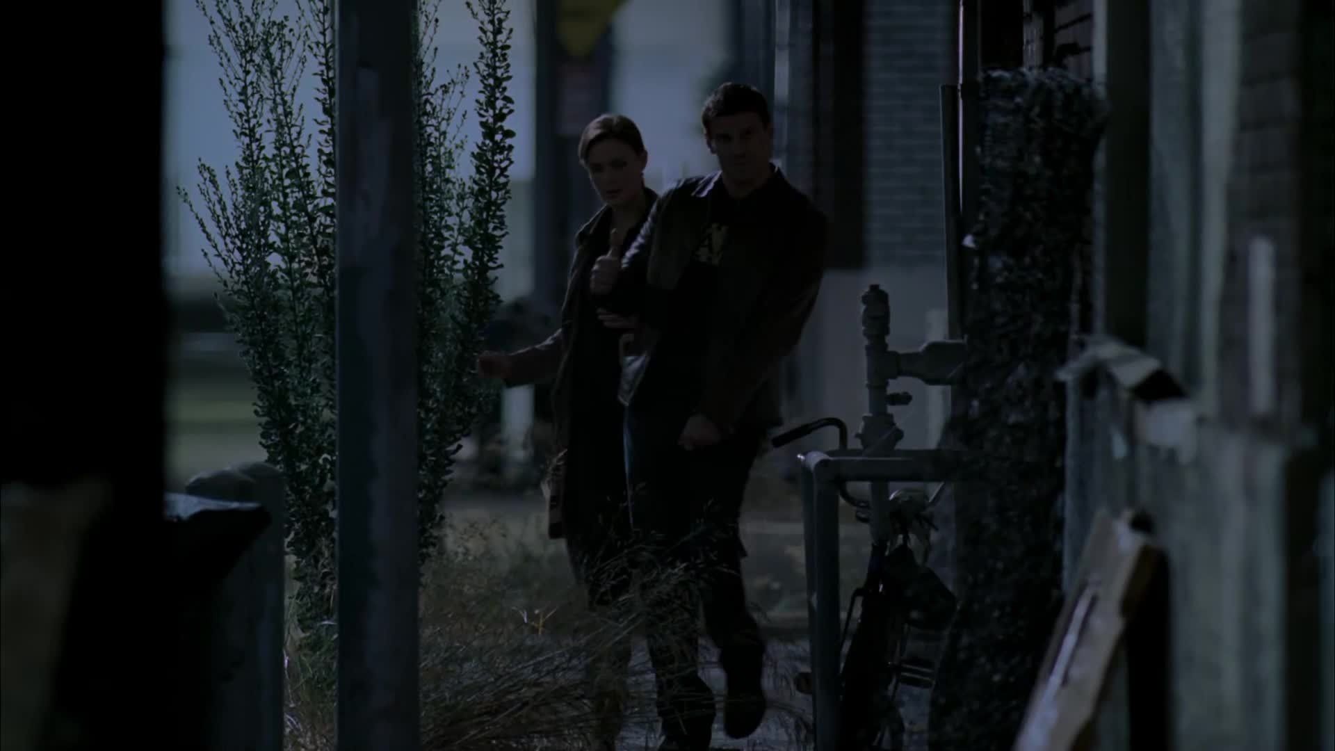 Bones background