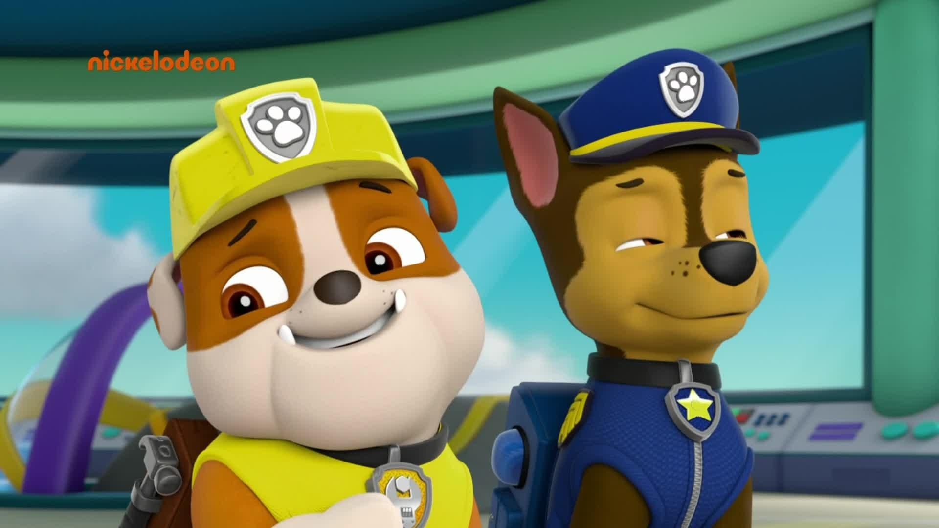 PAW Patrol background