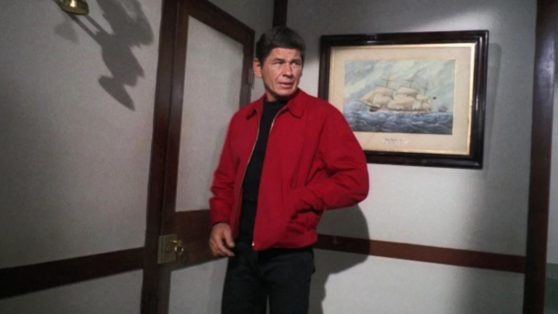 The Fugitive background