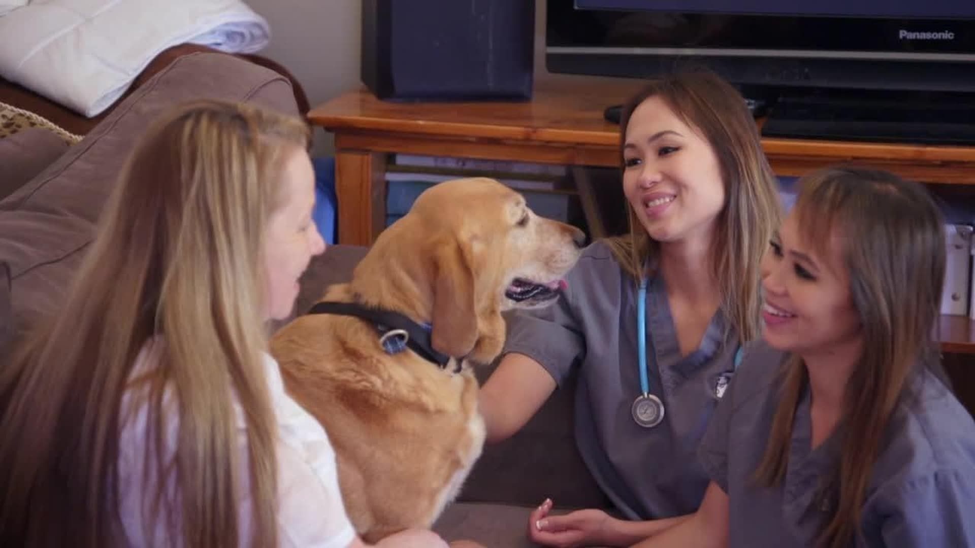 Bondi Vet: Coast to Coast background