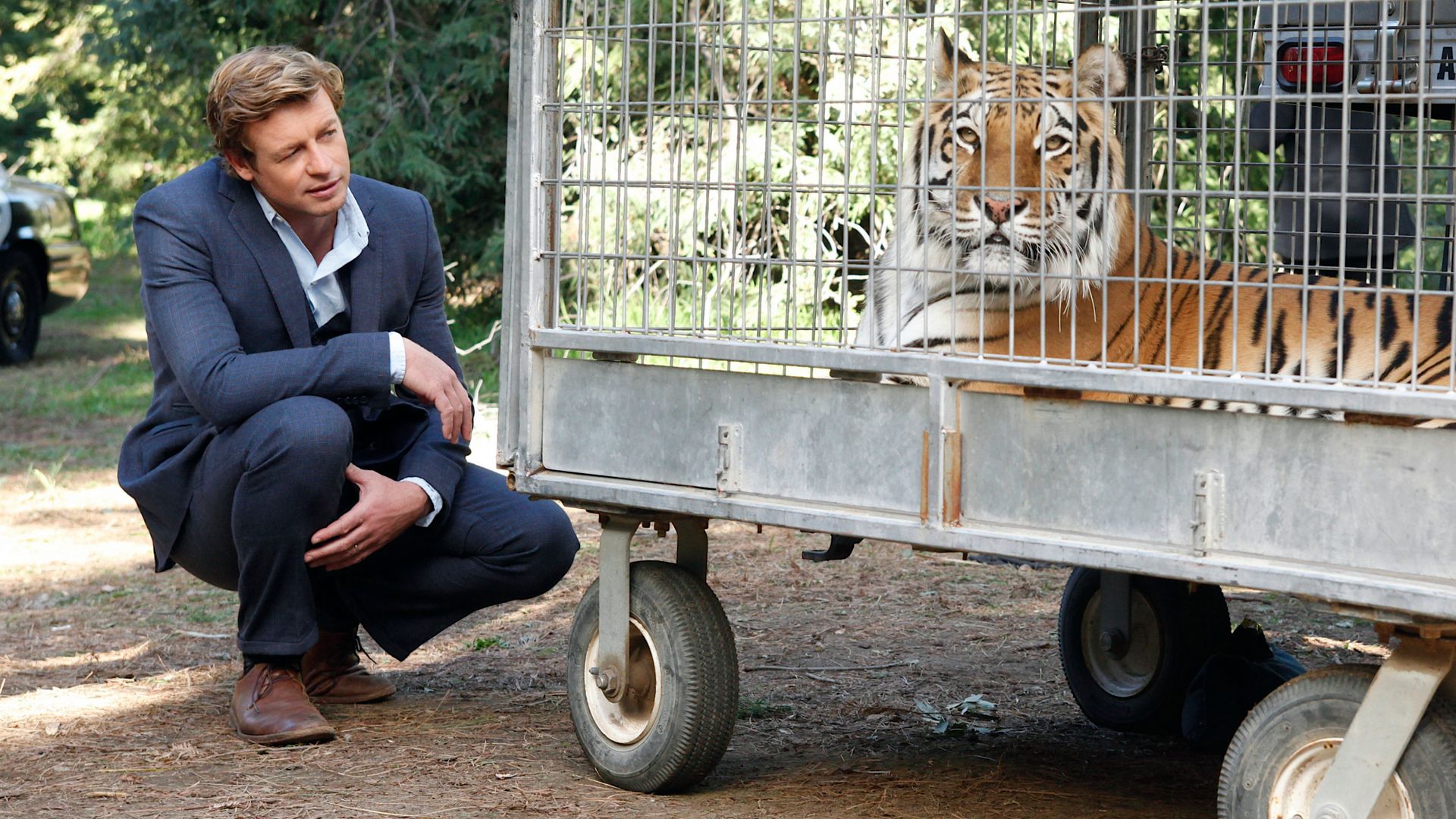 The Mentalist background