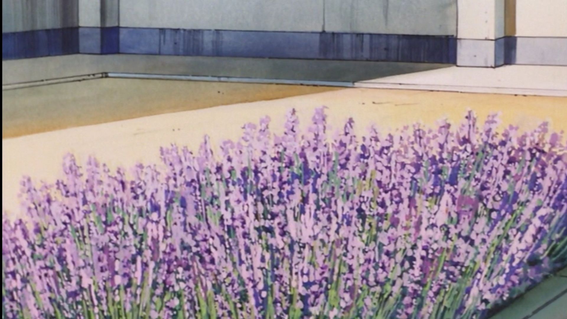 Figure 17 Tsubasa & Hikaru background