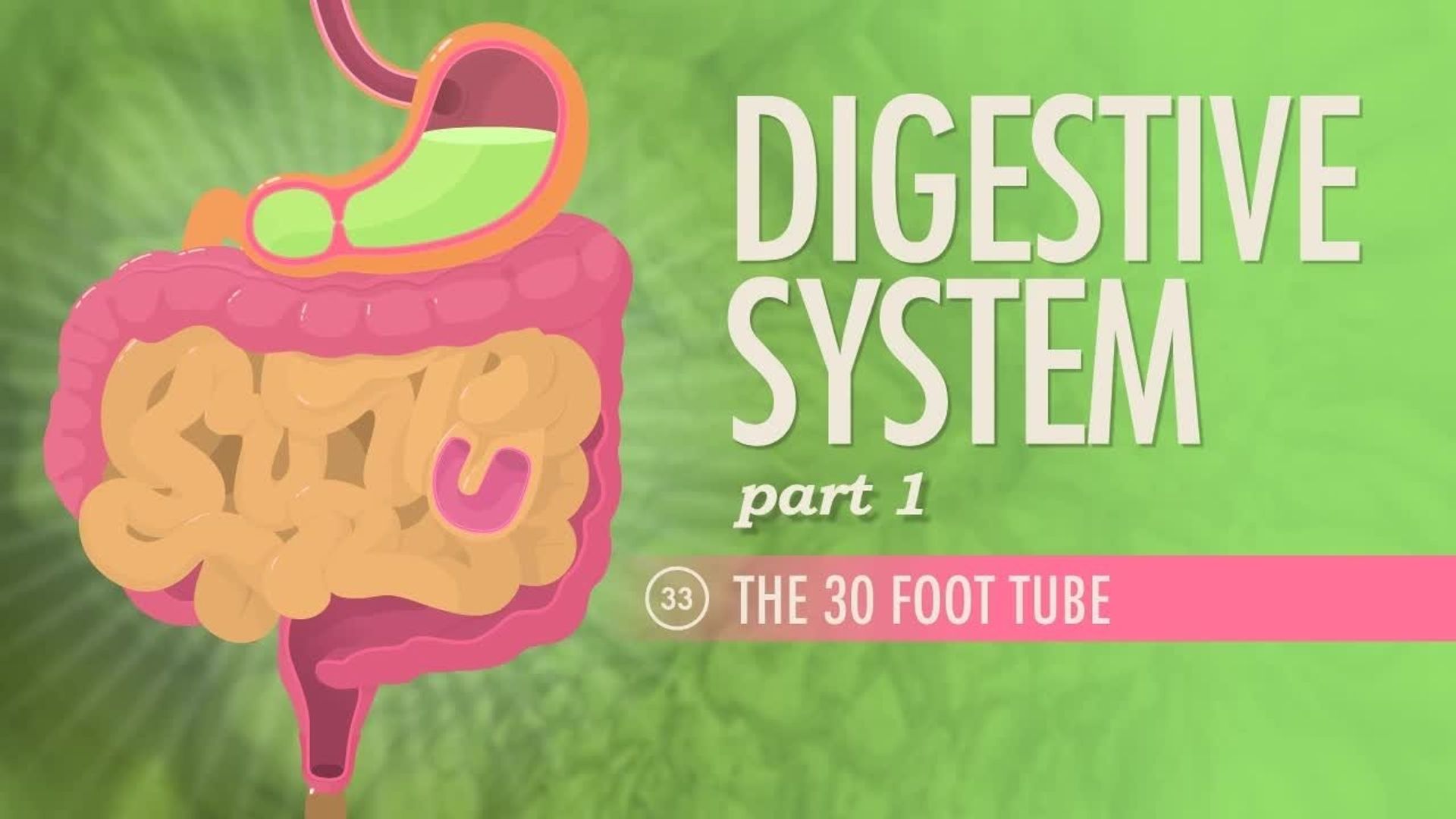 Crash Course: Anatomy & Physiology background