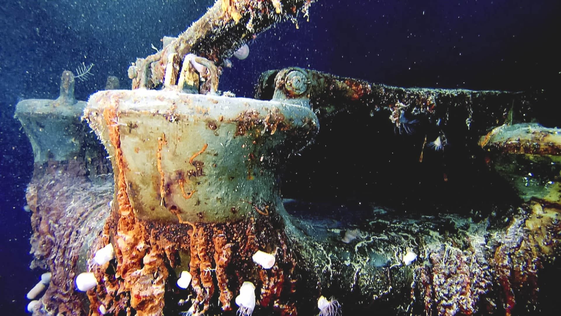 Abandoned: Expedition Shipwreck background