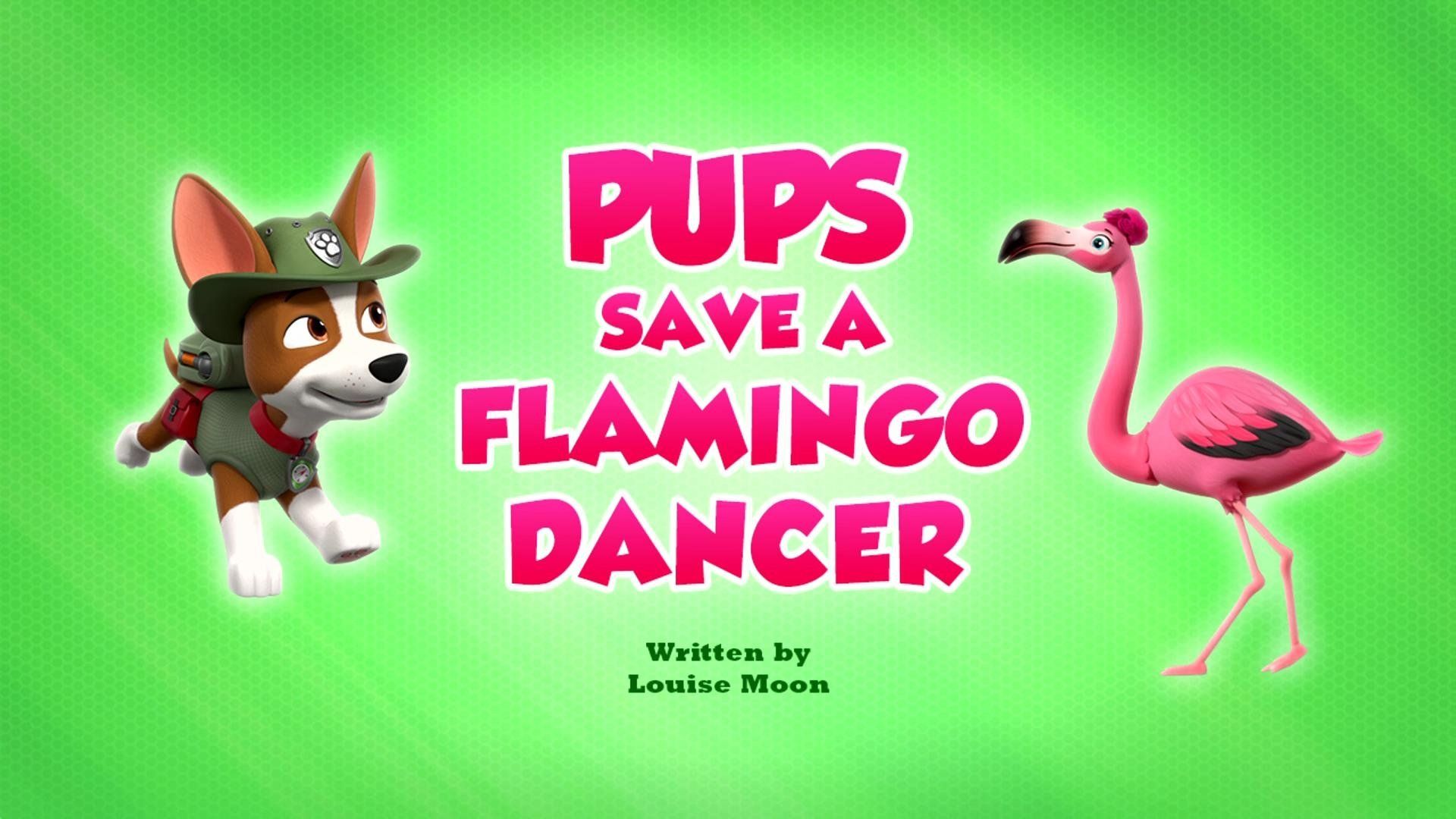 PAW Patrol background