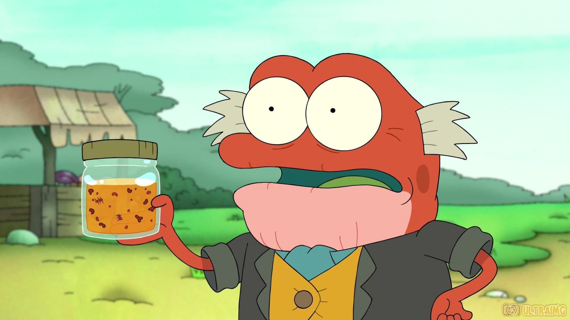 Amphibia background