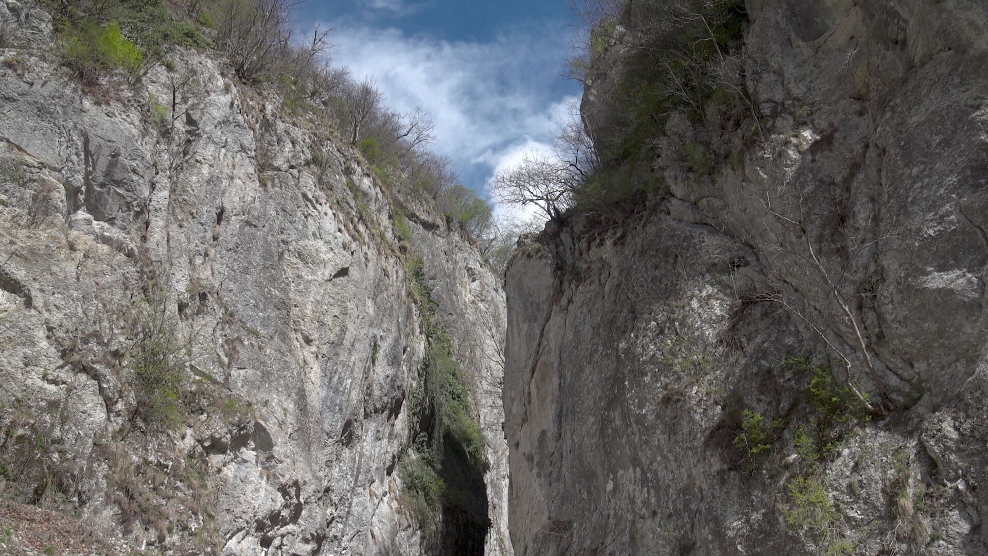 Flavours of Romania background
