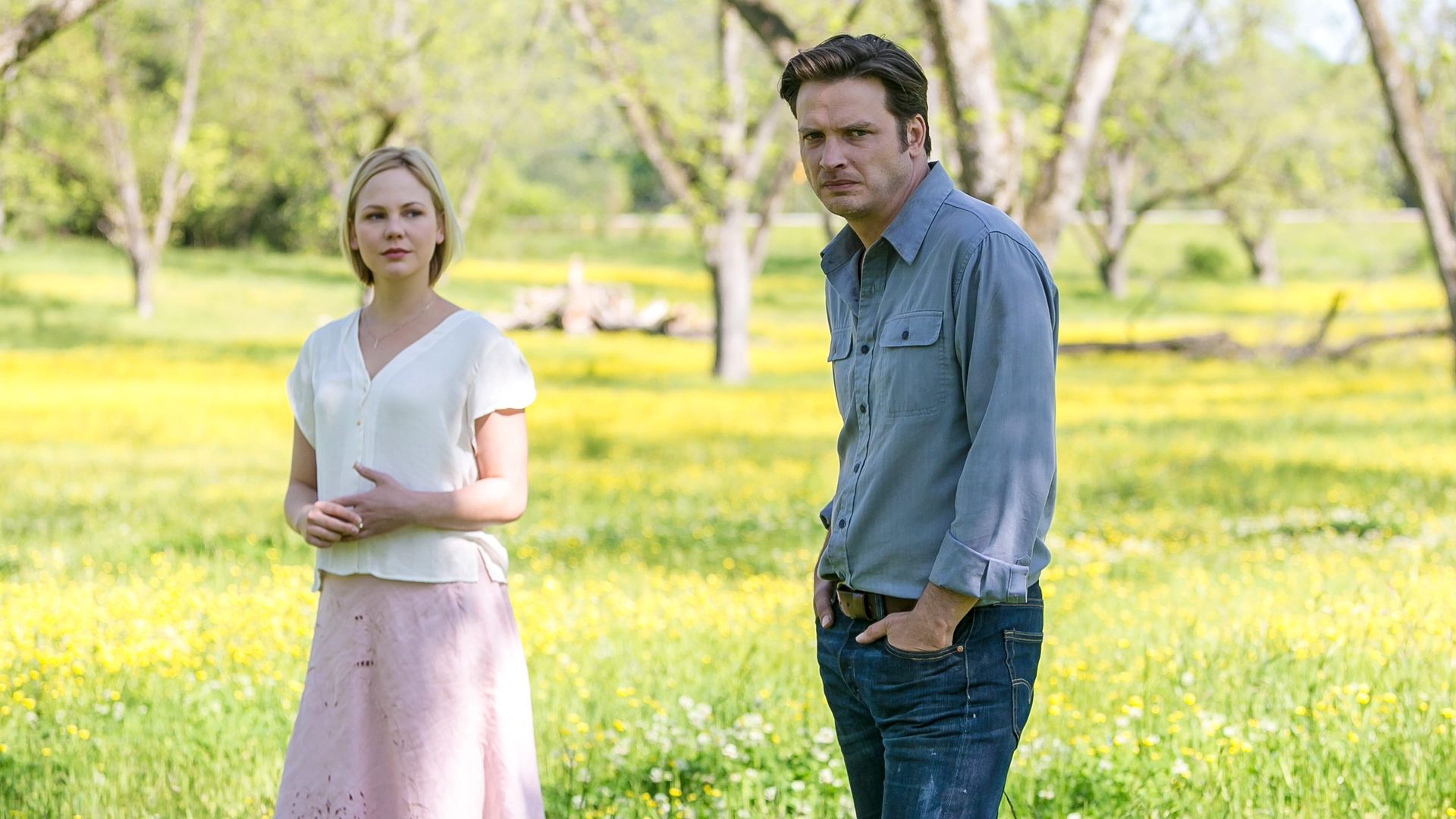 Rectify background