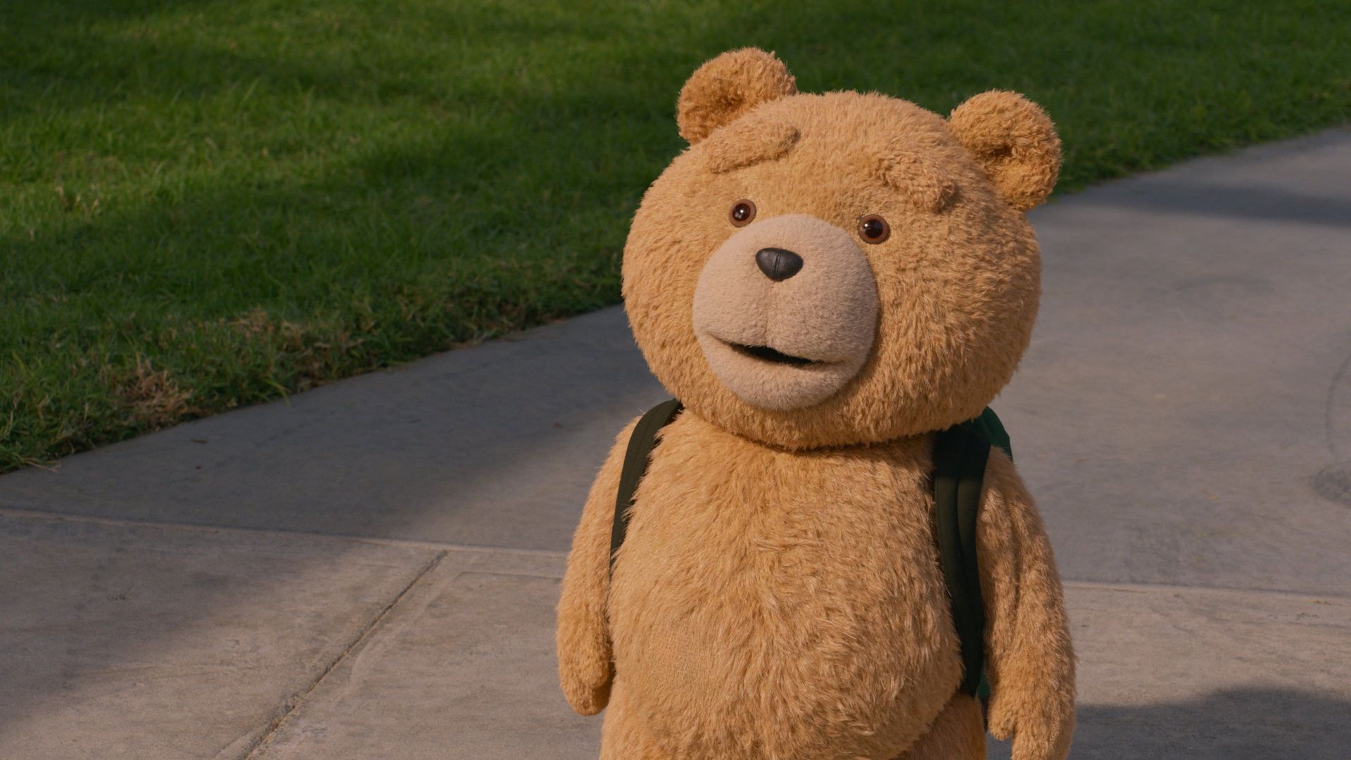 Ted background