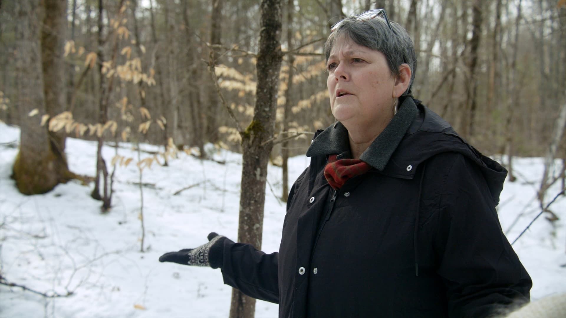 True Crime Story: Citizen Detective background