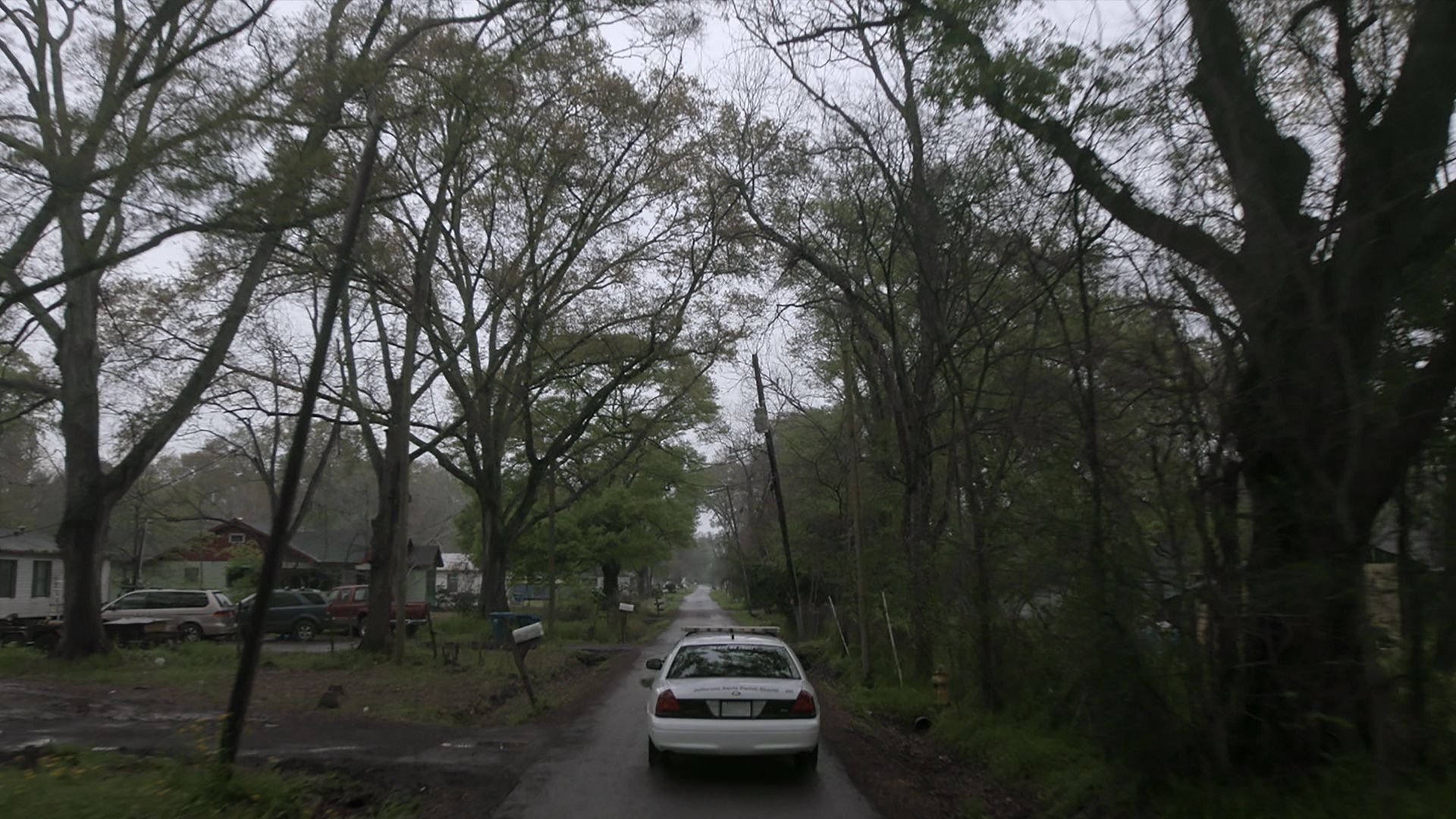Murder in the Bayou background
