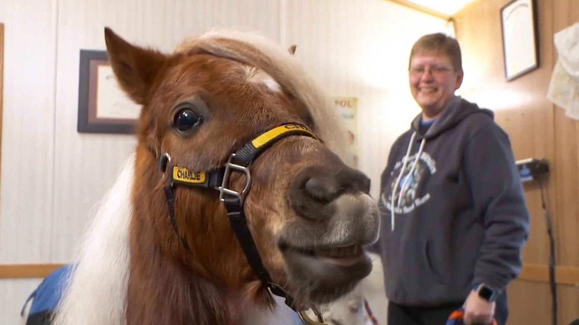 The Incredible Dr. Pol background