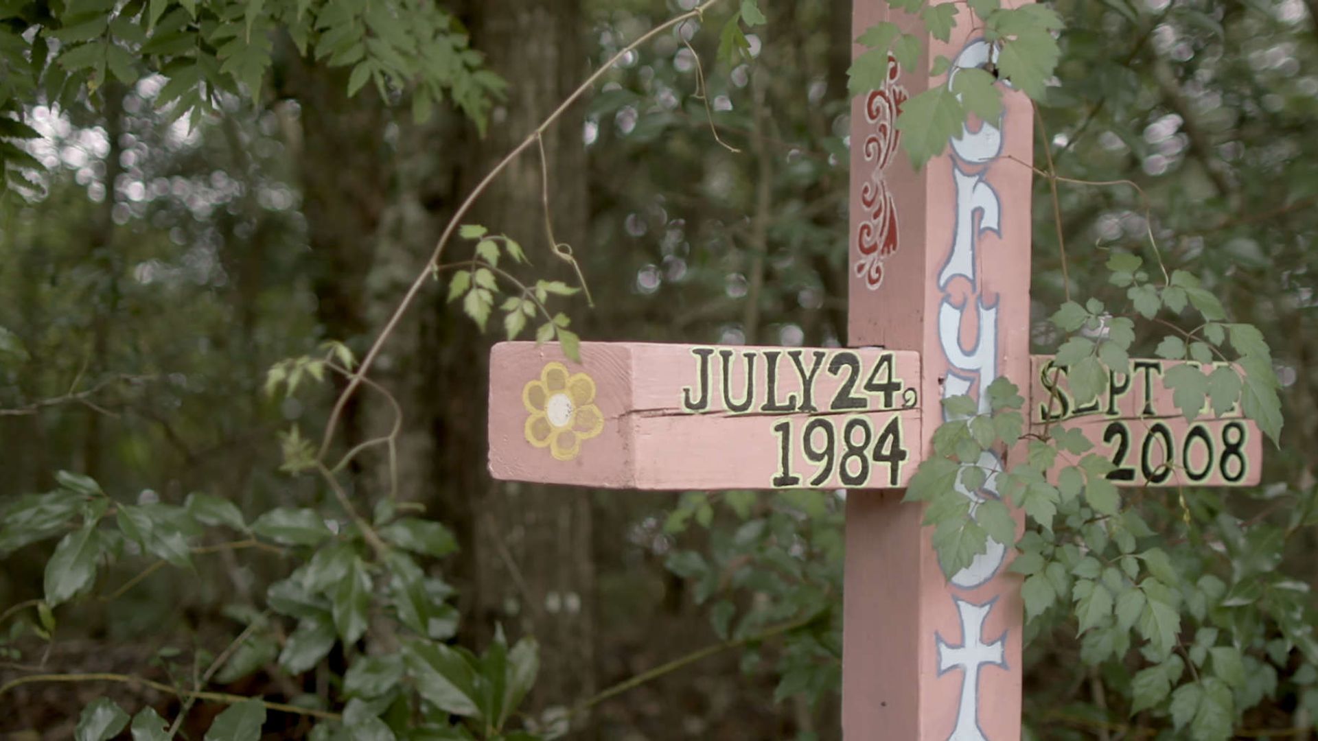 Murder in the Bayou background