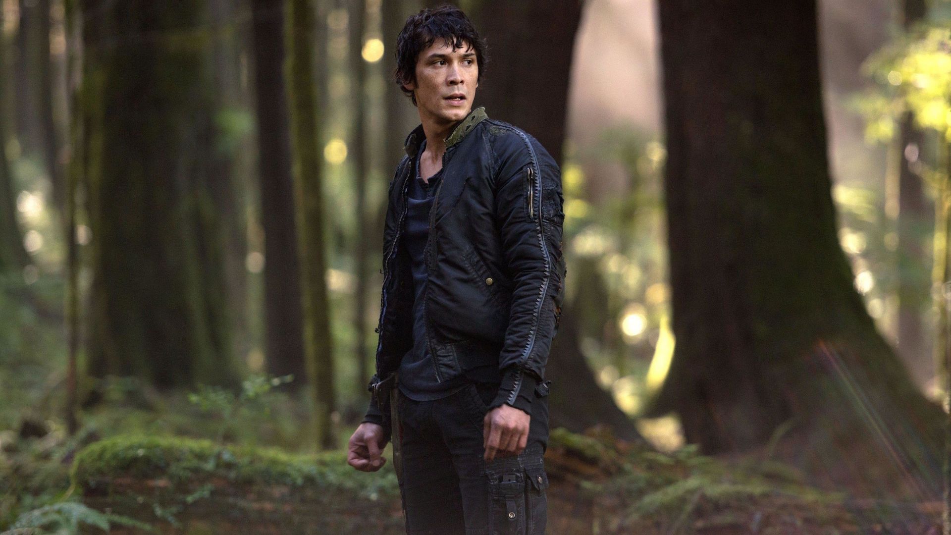 The 100 background