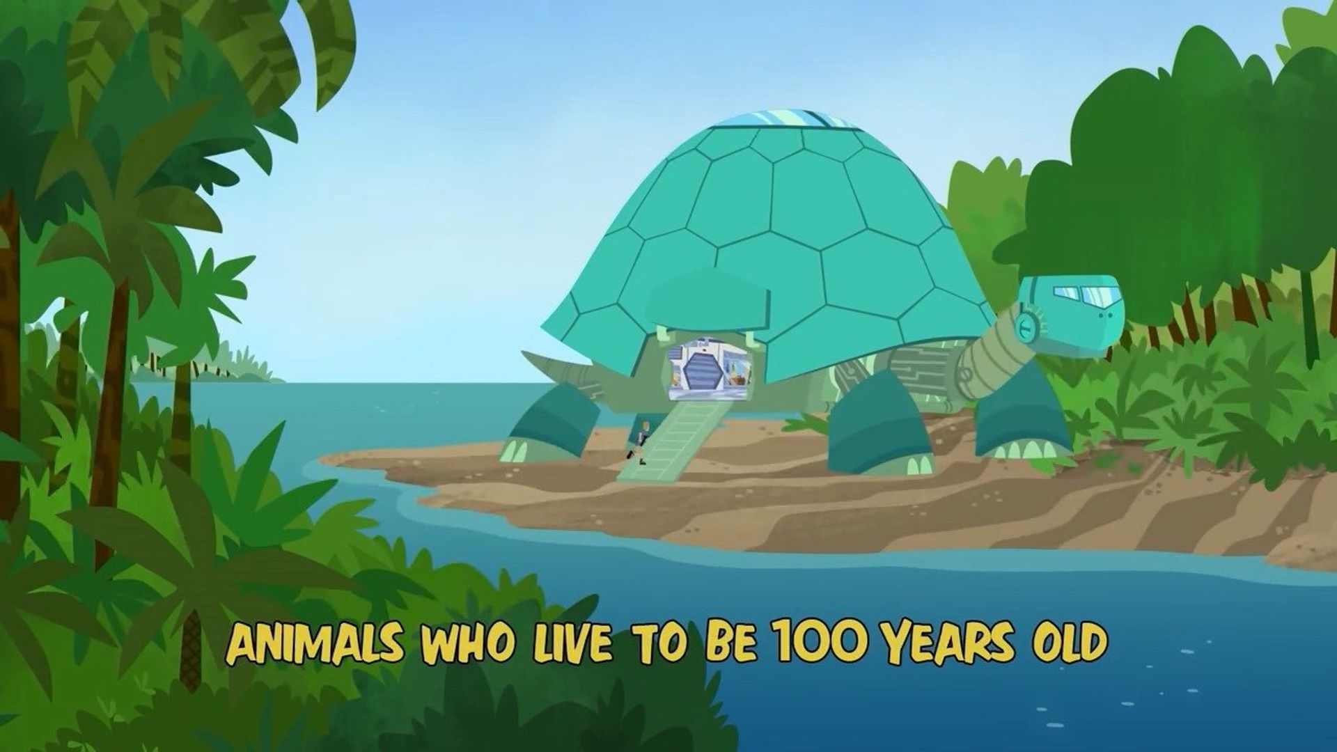 Wild Kratts background