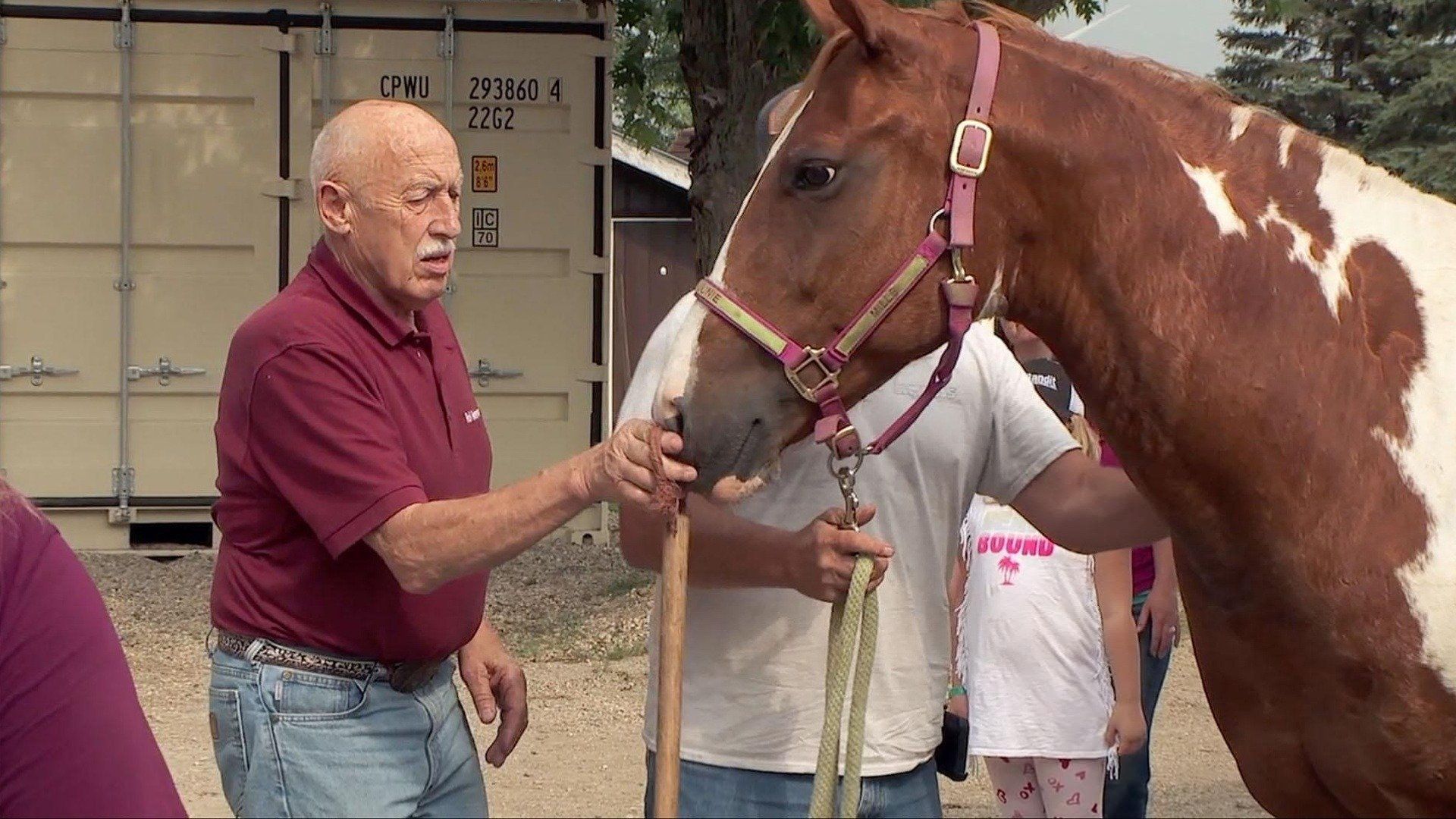 The Incredible Dr. Pol background