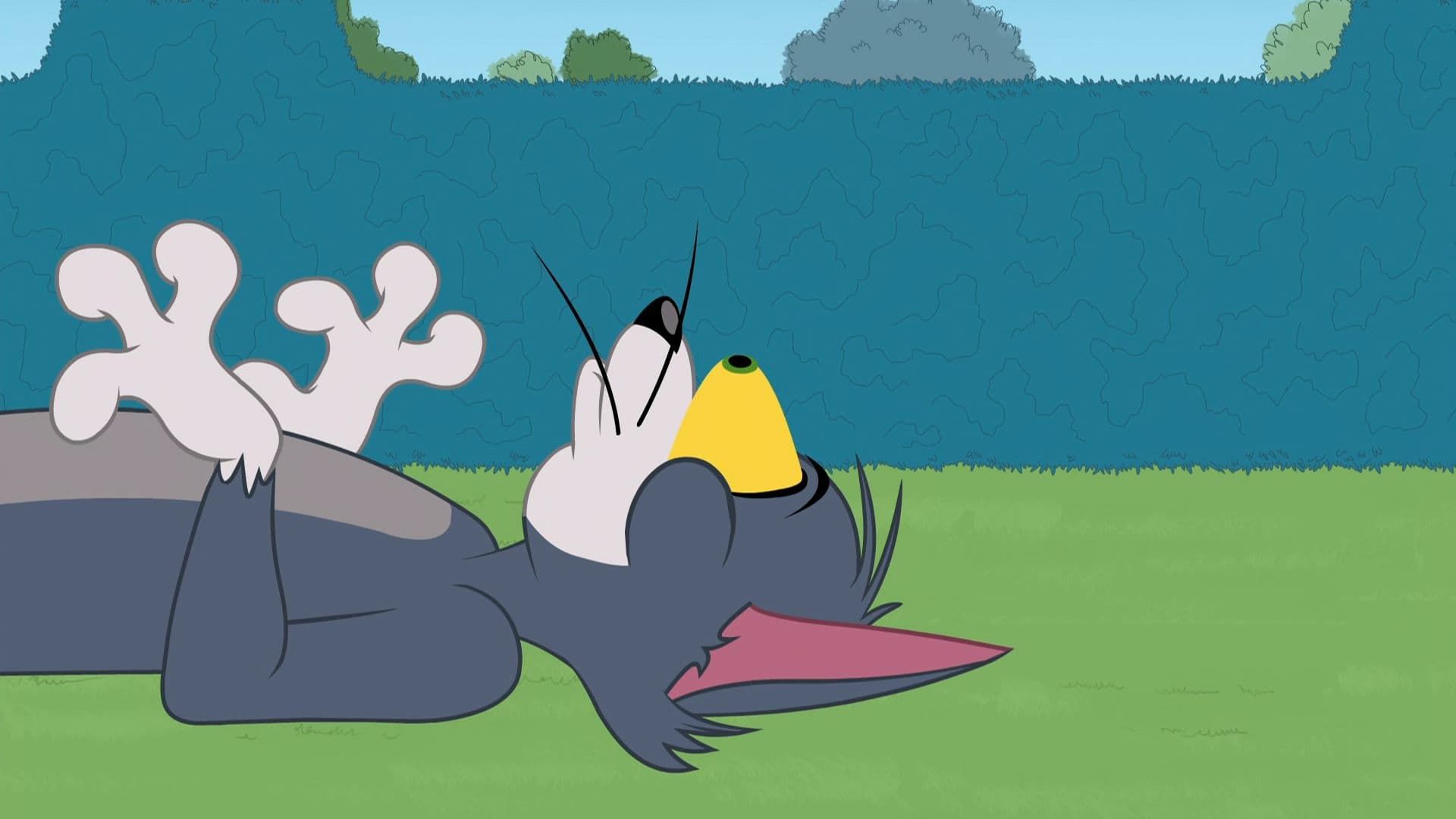 The Tom and Jerry Show background