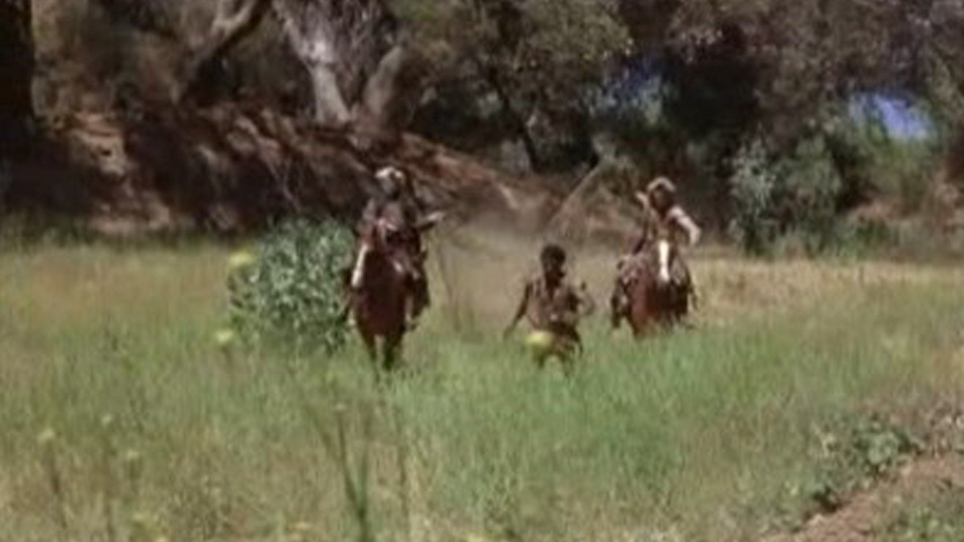 Roots background