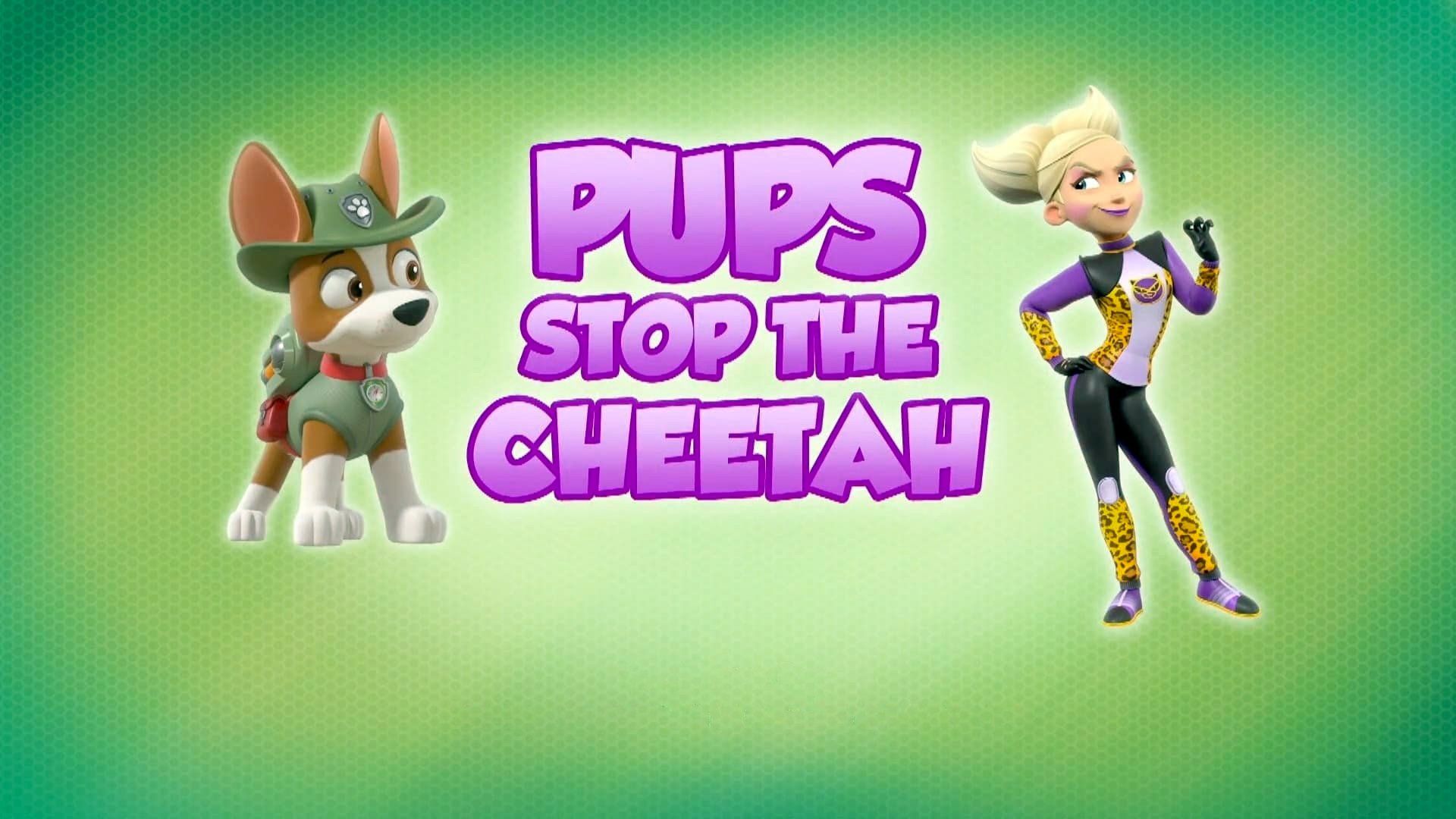 PAW Patrol background