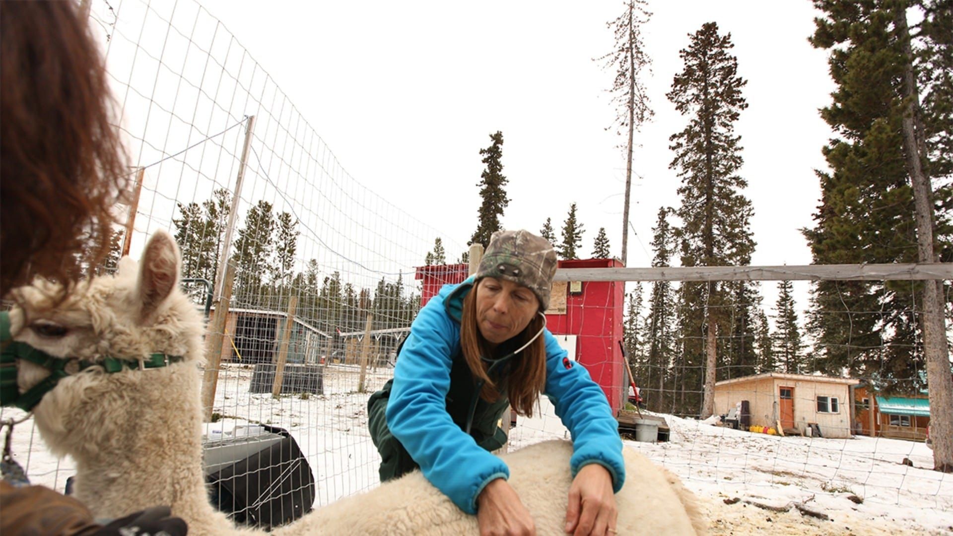 Dr. Oakley, Yukon Vet background