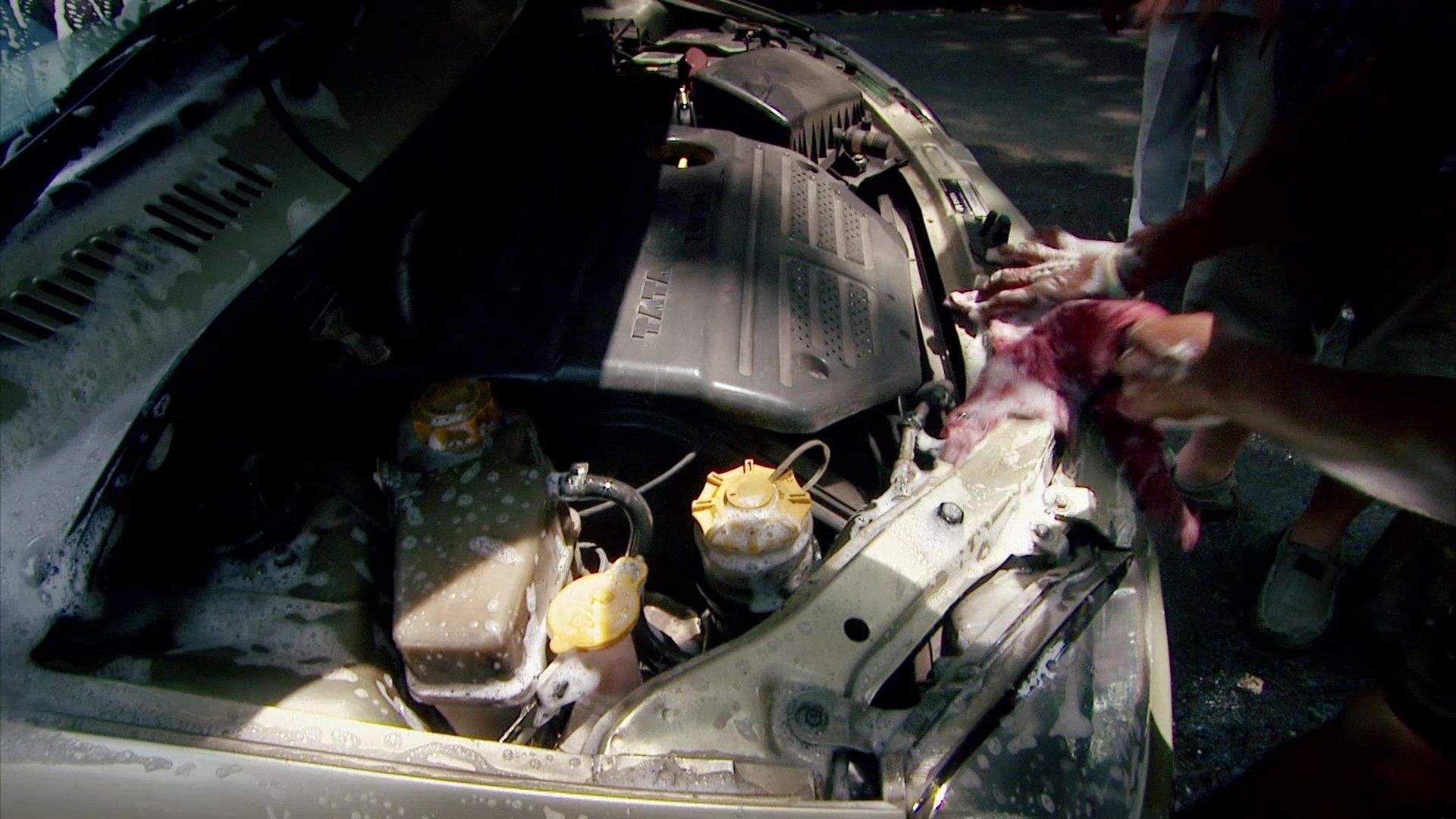Wheeler Dealers: Trading Up background