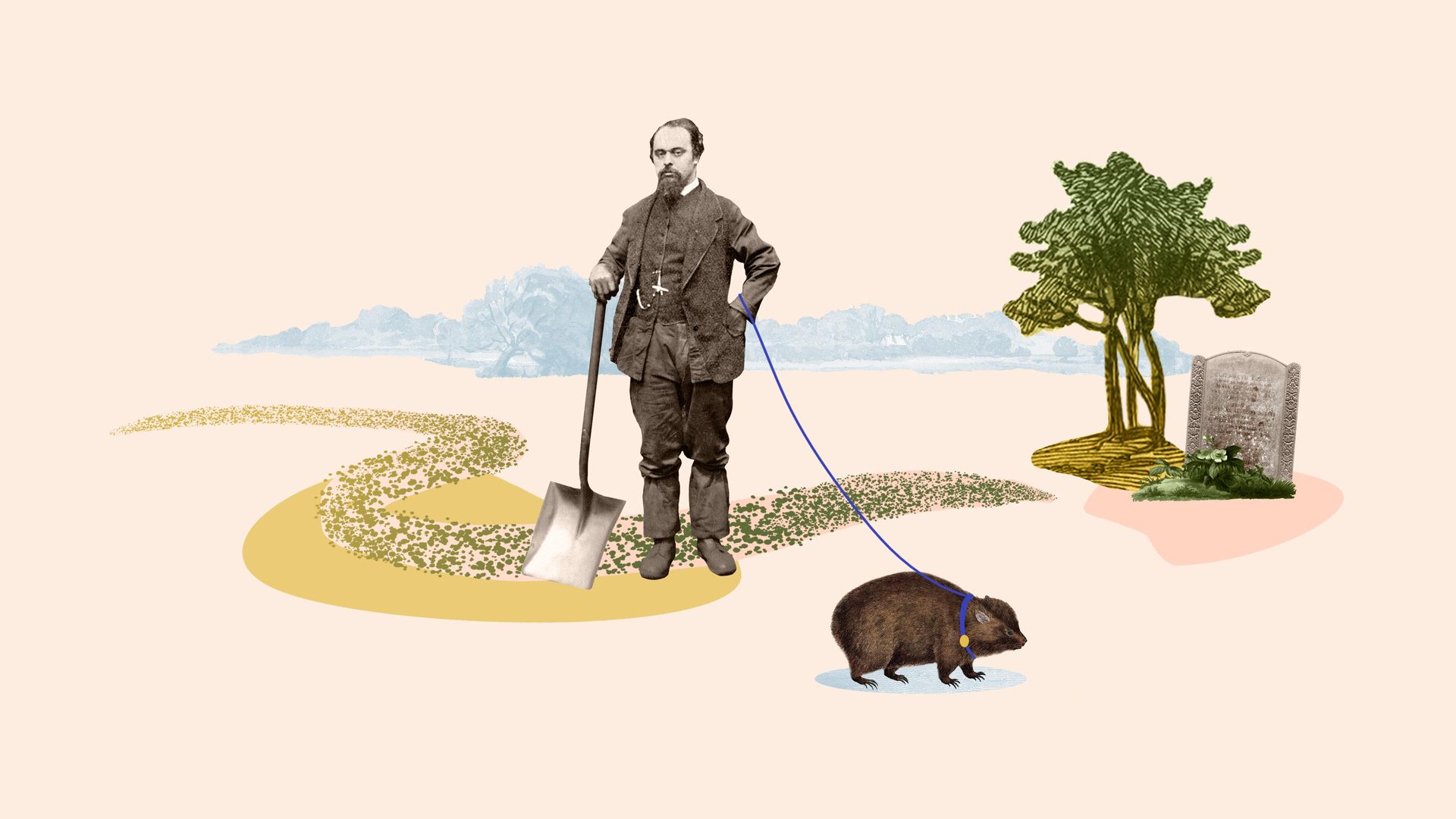 History: The Interesting Bits background
