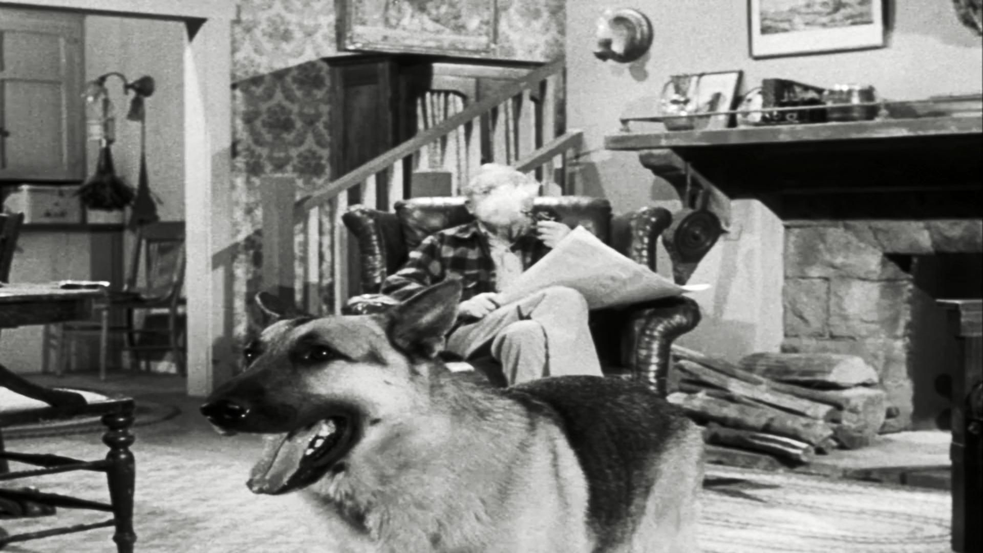 Perry Mason background